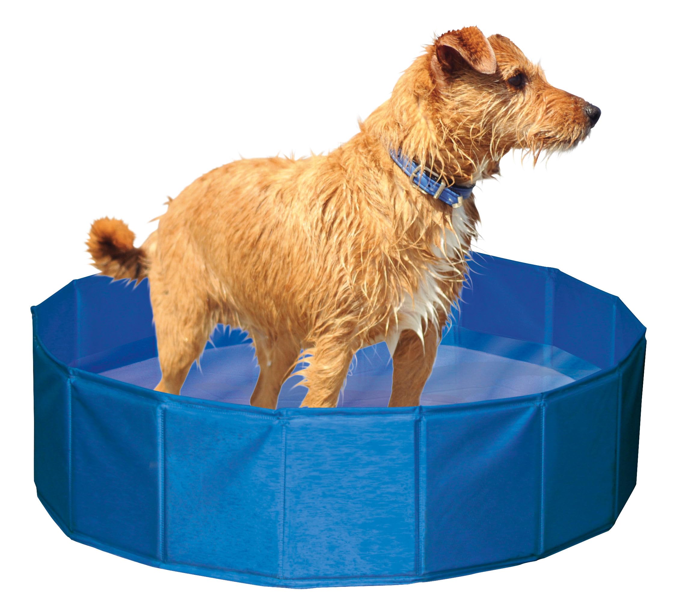 Kerbl Pet Piscina para perros, cuenco para perros, altura 30 cm, azul, 120 cm, plástico, resistente a arañazos, fácil de montar y desmontar