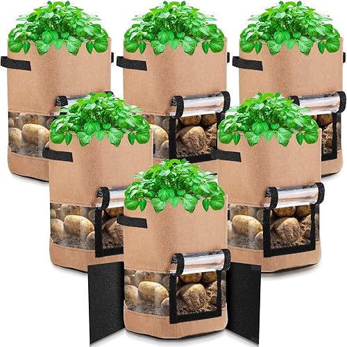 Qunclay Paquete de 6 bolsas de cultivo de patatas de 10 galones, bolsas de jardín para plantar papas visibles con solapa y asas para plantar papas,