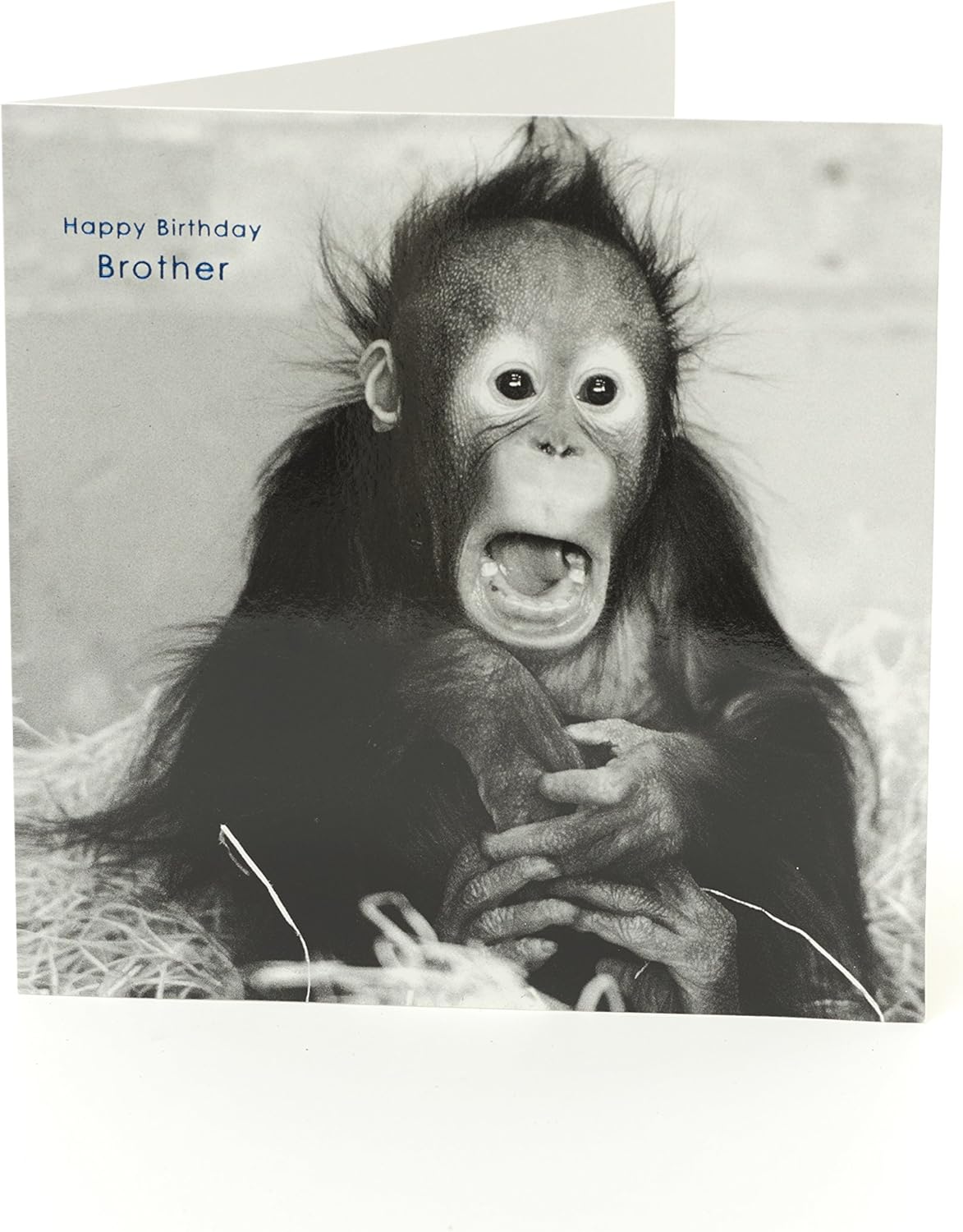 Brother Birthday Card Funny Gift Card for Him Birthday