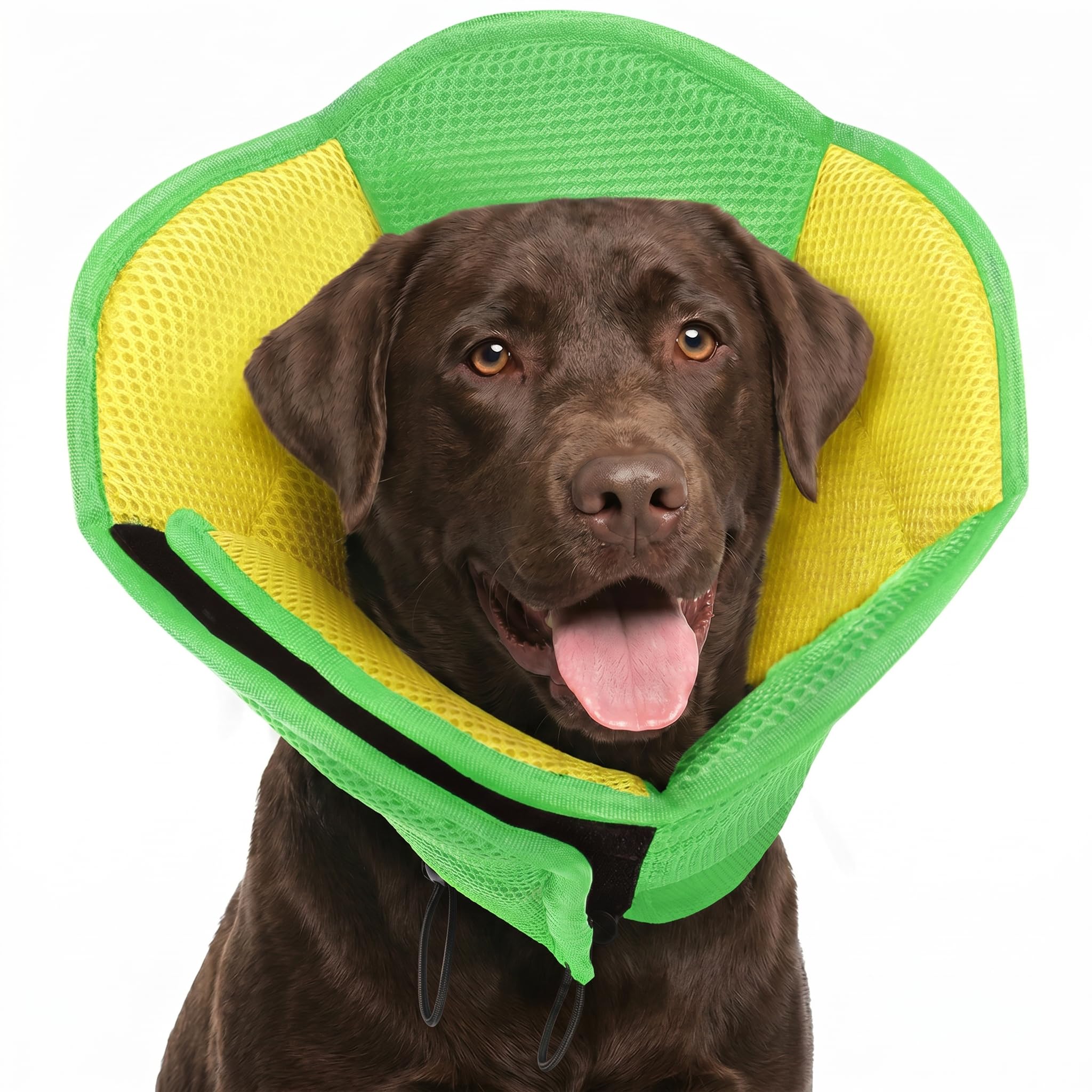 AOFITEE Large Dog Cone Adjustable Dog Cone to Stop Licking, YellowGreen XL