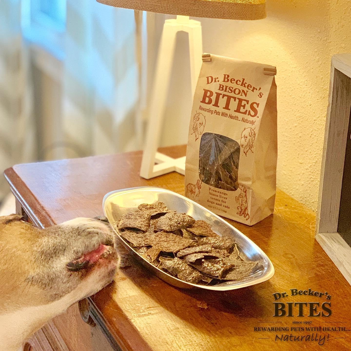 Dr. Becker's Bison Bites | 100% Pure Meat Protein | Grain Free Liver Training Treats for Dogs & Cats, 5 oz (Pack of 3)