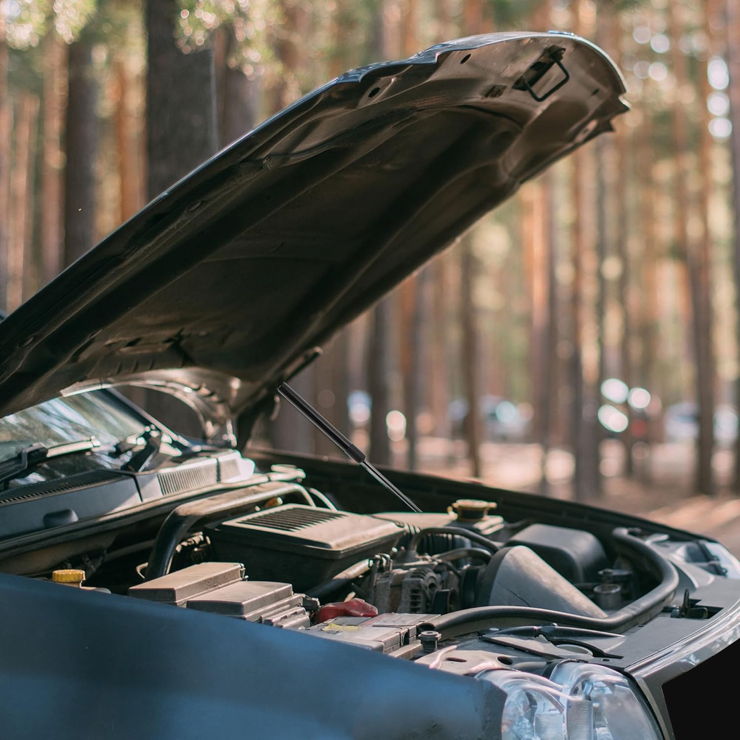 Lift Supports Struts Gas Spring No.5160343AA for Dodge for Ram 1500 2009-2015 Black 2PCS Front Hood