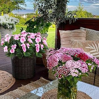 おかげさまです様ファイブフラワー30ml2本インパチェンスの30ml一本合計3本 Amazon.co.jp: FAICOIA 2枝 人工インパチェンスフラワー