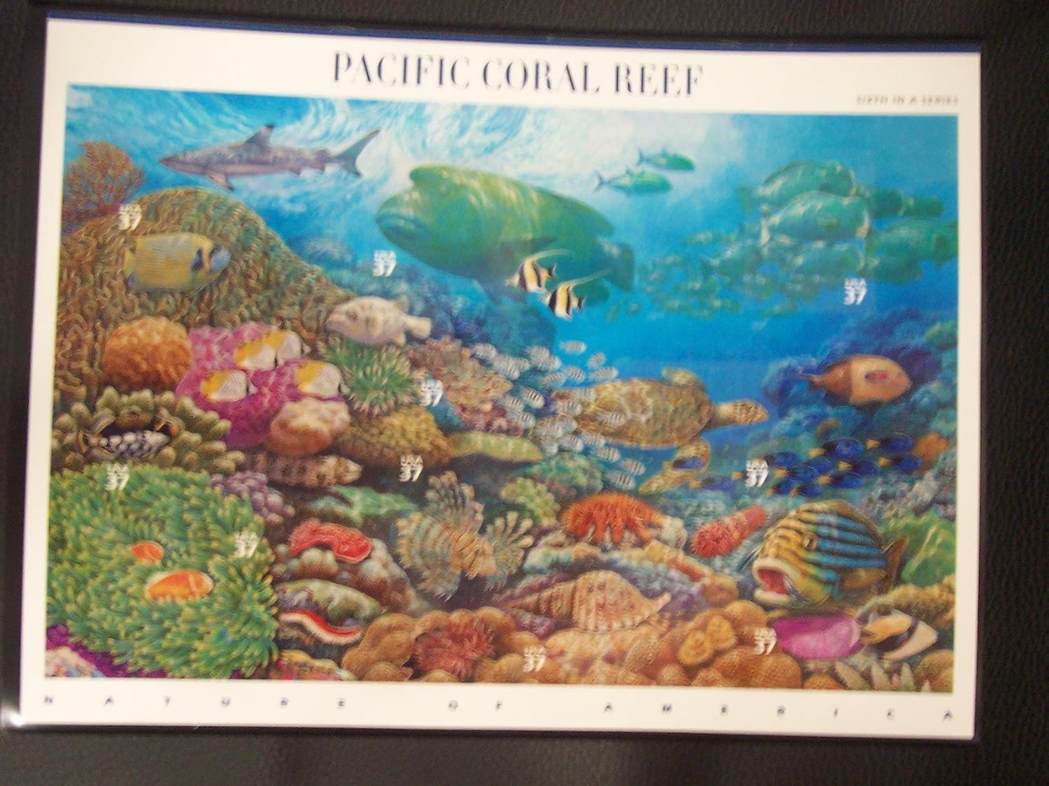 The 2004 Commemorative Stamp Yearbook