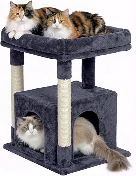 23.6" Cat Tree for Large Cat, 19 * 15.8 in Large Perch, Dark Gray | Cat Tower with Scratching Post, 2-door Cat Condo for Adult Indoor Cats, Easy to Clean and Install, Assembly tools included