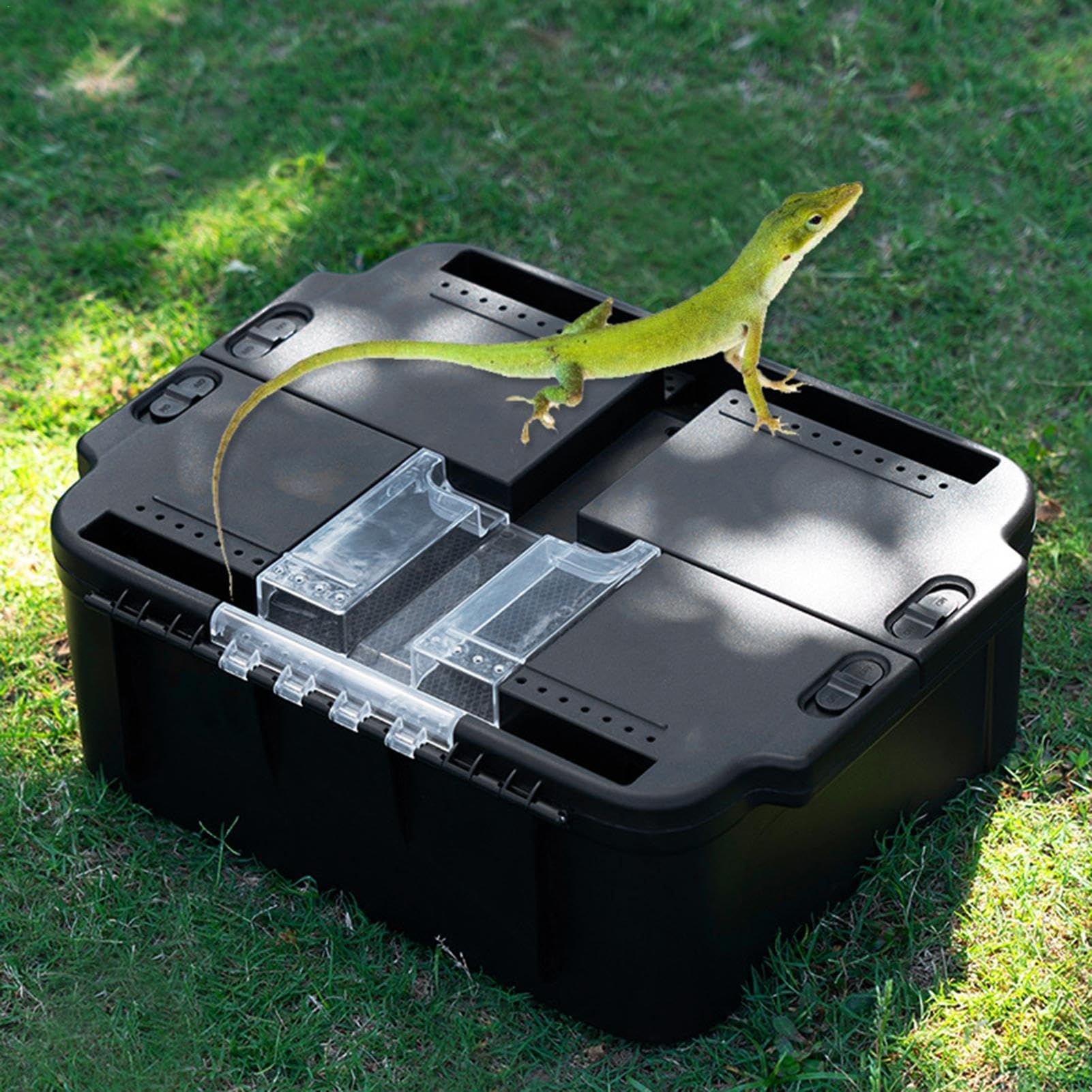 Amazon | 爬虫類飼育箱、爬虫類輸送コンテナ - 爬虫類飼育箱爬虫類