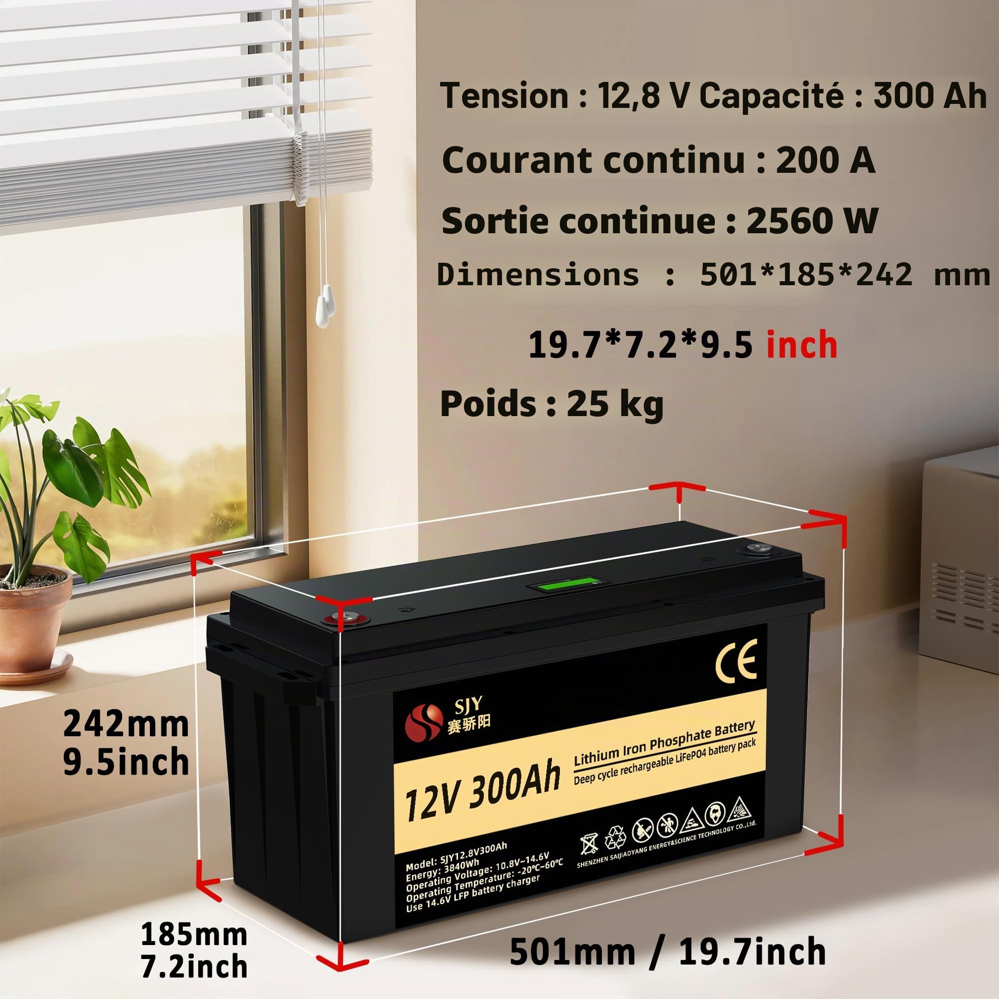 12V 300Ah LifePO4, Batterie au Lithium avec 200A BMS Cycle profond Classe A Batterie LiFePO4 avec LCD Parfait pour Off-Grid, RV, Système Solaire, Bateau, Camper, Remorque de Voyage