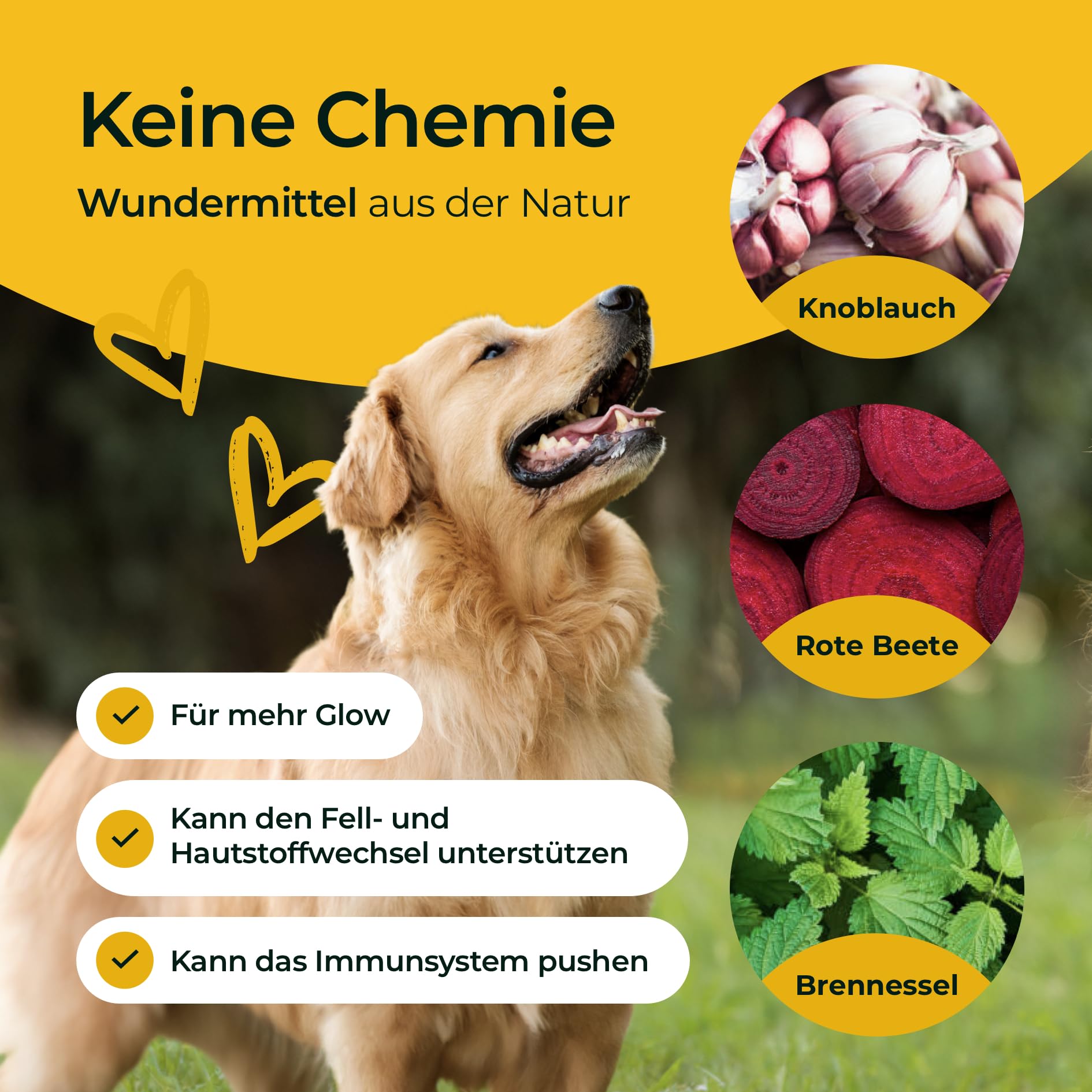 Haut & Fell 300 g - Natürliche Fellpflege Pellets für Hunde - Mit Biotin & Zink - Ideal bei Fellwechsel - Für Gesunde Haut - Made in Germany