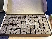 Review Image by Susurration Susurration