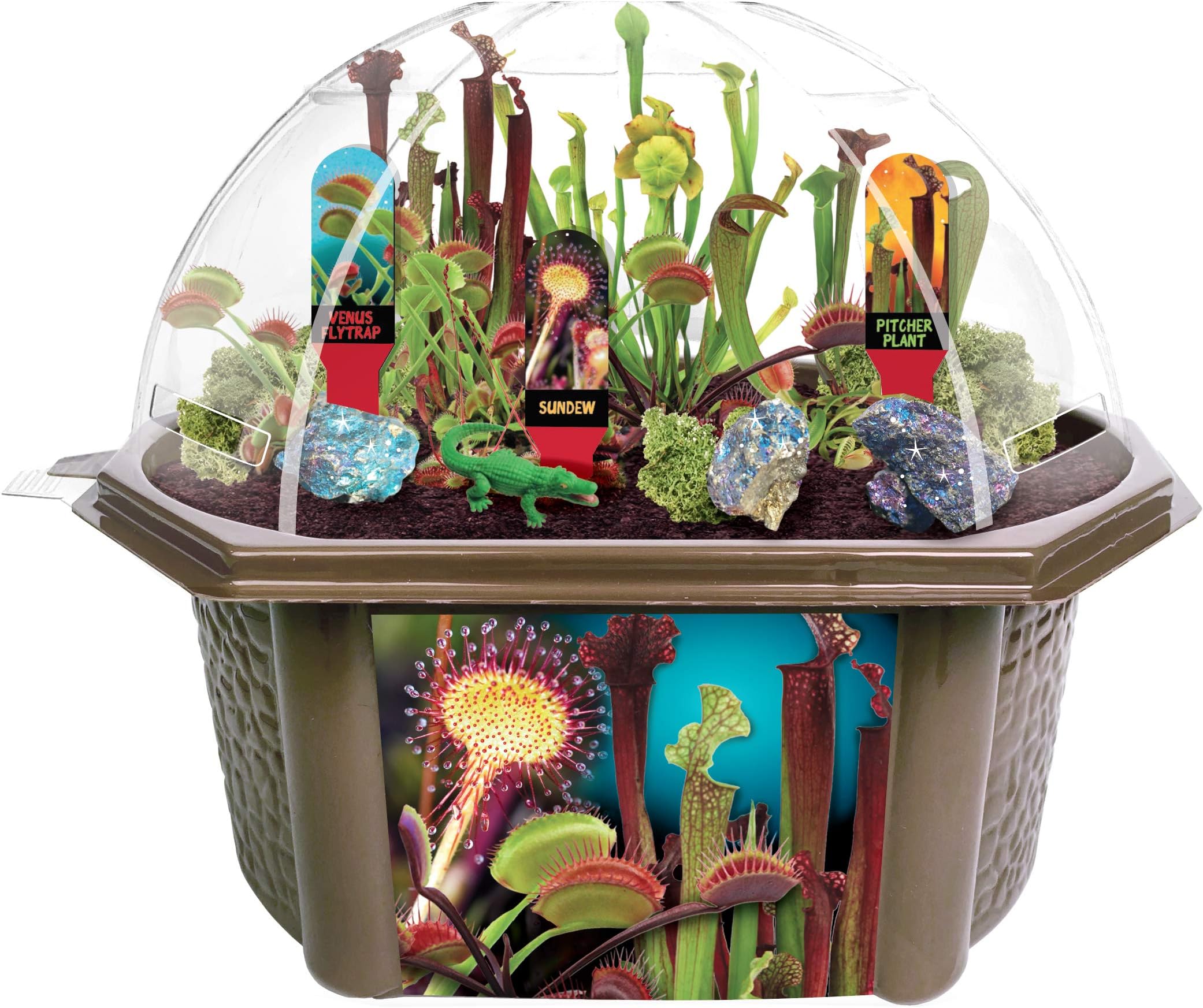 Toys by Nature Biosphere Carnivorous Creatures Terrarium Starter Kit with Complete Supplies to Grow Meat-Eating Plants! Ideal for Indoor Home Plant and Creative Displays
