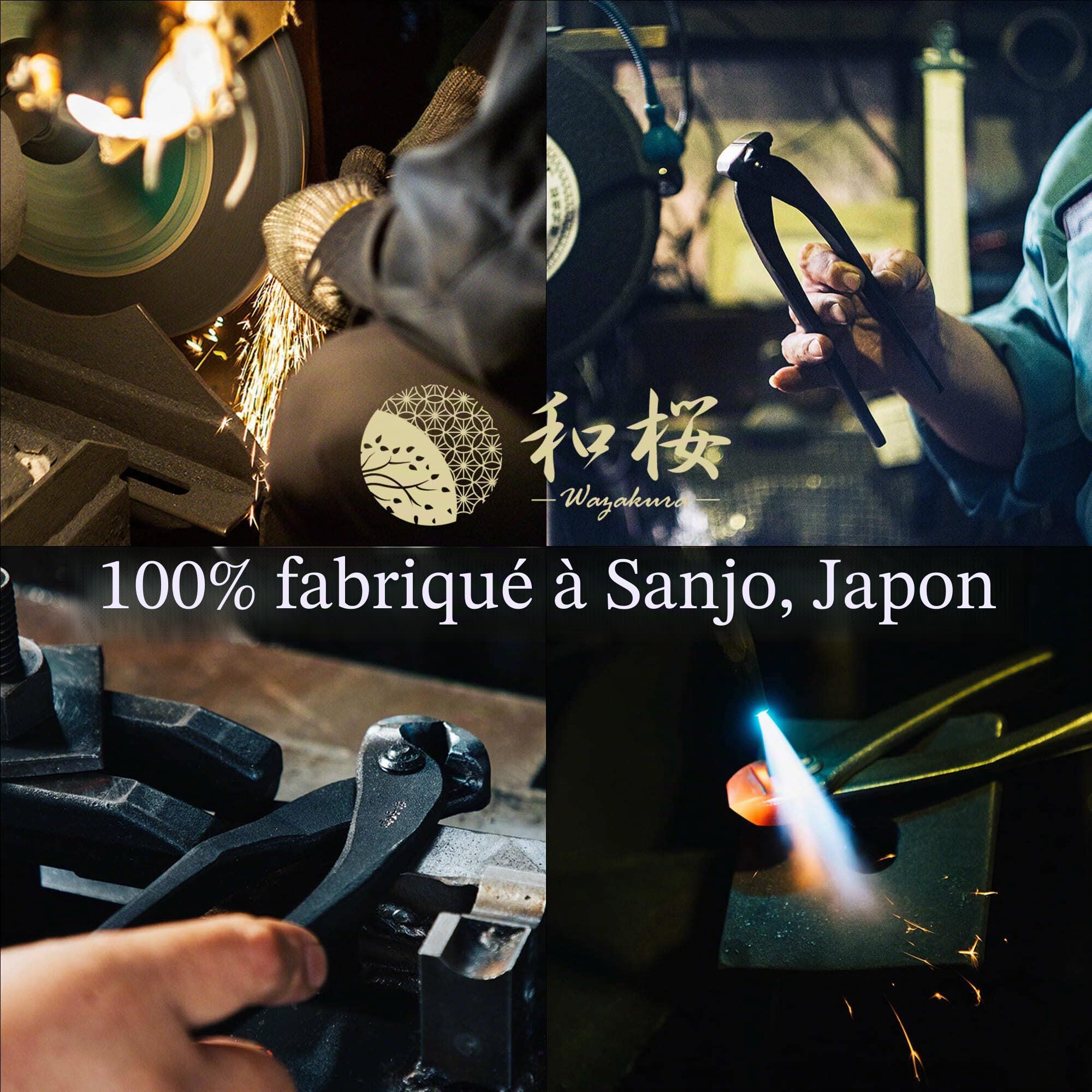 Wazakura Coupe-Boutons - Coupe-Branche de Bonsaï - Outil Jardinage Forgé à la Main au Japon - 210mm Acier Carbon Noir