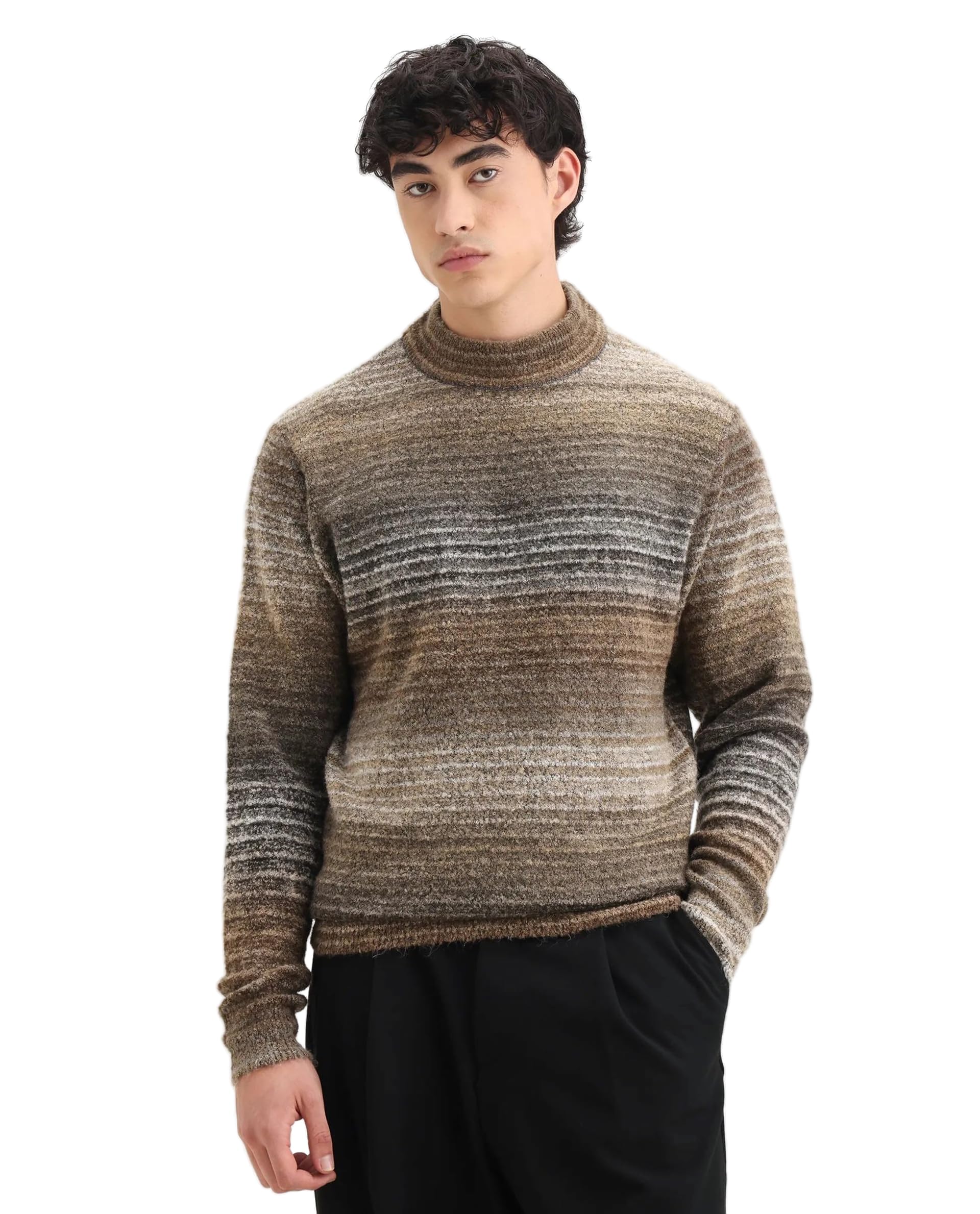 Men's Nemo Regular Fit Striped Acrylic Crew Neck Sweater-image-11