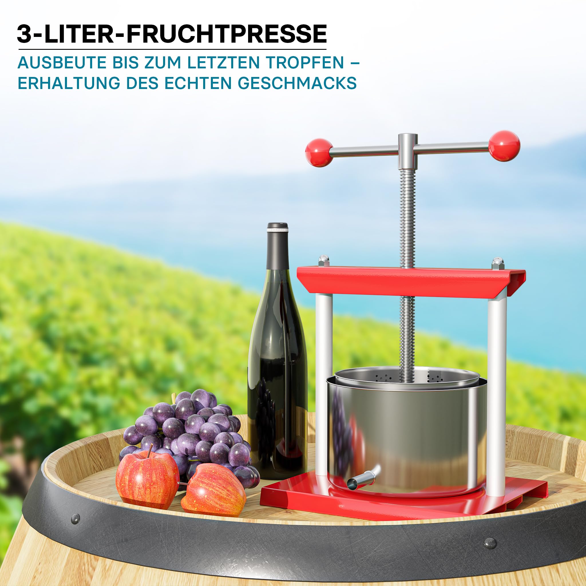 Wiltec Obstpresse 3L Weinpresse aus Stahl Edelstahlkorb Fruchtpresse mit 2-armigen Drehgriff Saftpresse Beerenpresse
