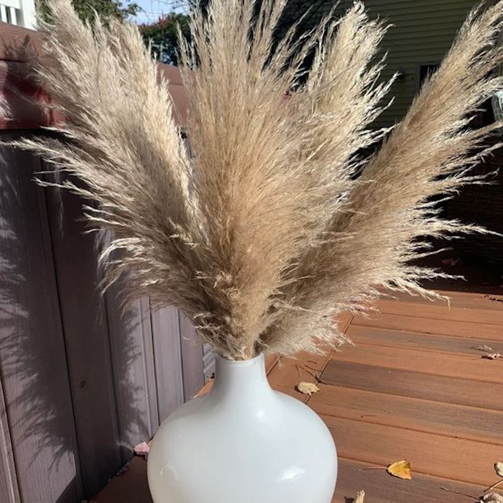 3 stems Extra Large Dried Pampas Grass 48" Extra Large Pampas Grass Dried Flowers For