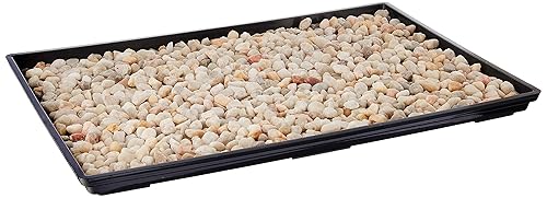 Brussel's Bonsai Bandeja de humedad para bonsái de 13 pulgadas con rocas decorativas, ideal para el crecimiento de árboles bonsái, reduce la