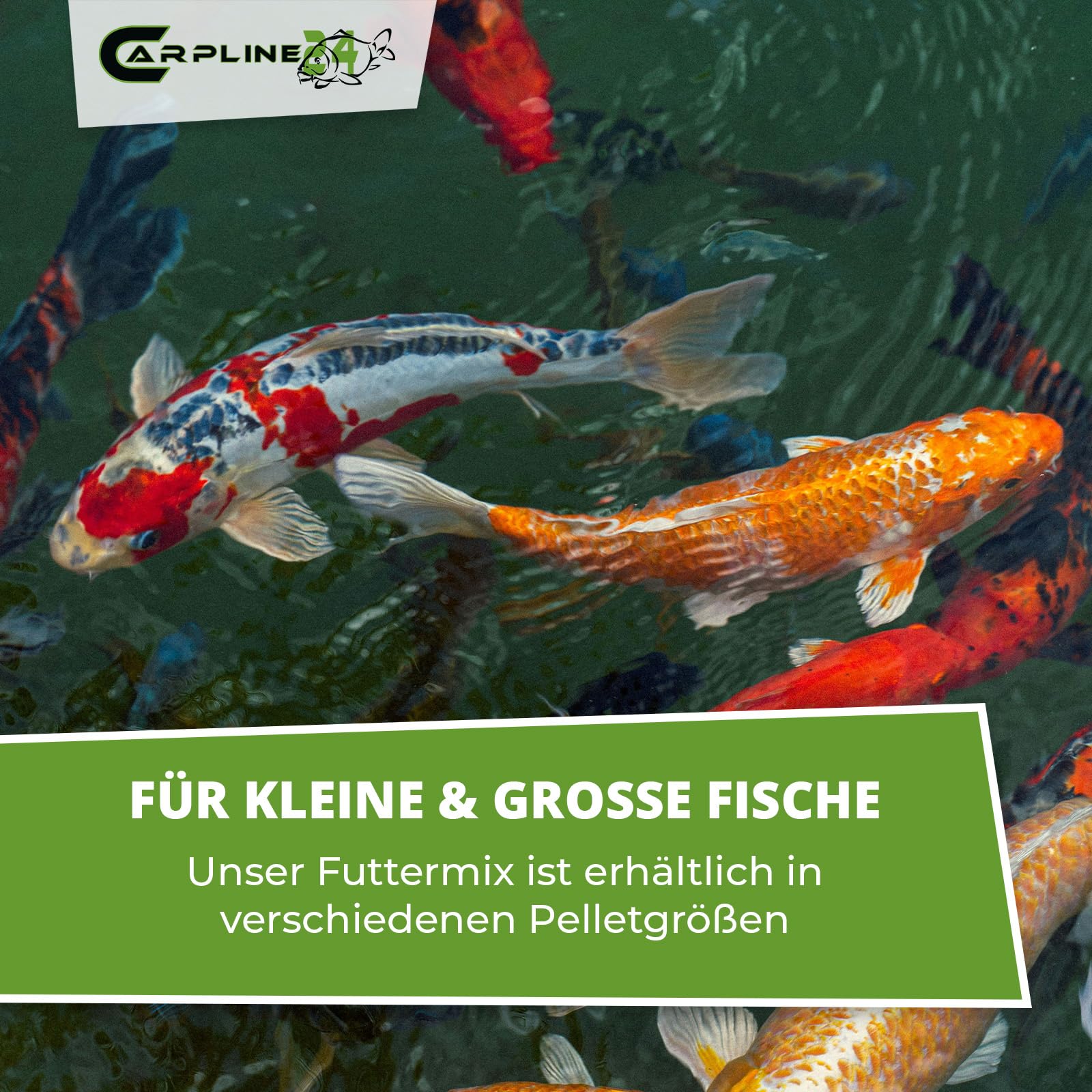Eco Multi Koi Mix 15 kg 6 mm - Hochwertiges Koifutter mit Astaxanthin, Proteinreiches Fischfutter für Farbenprächtige Teichfische