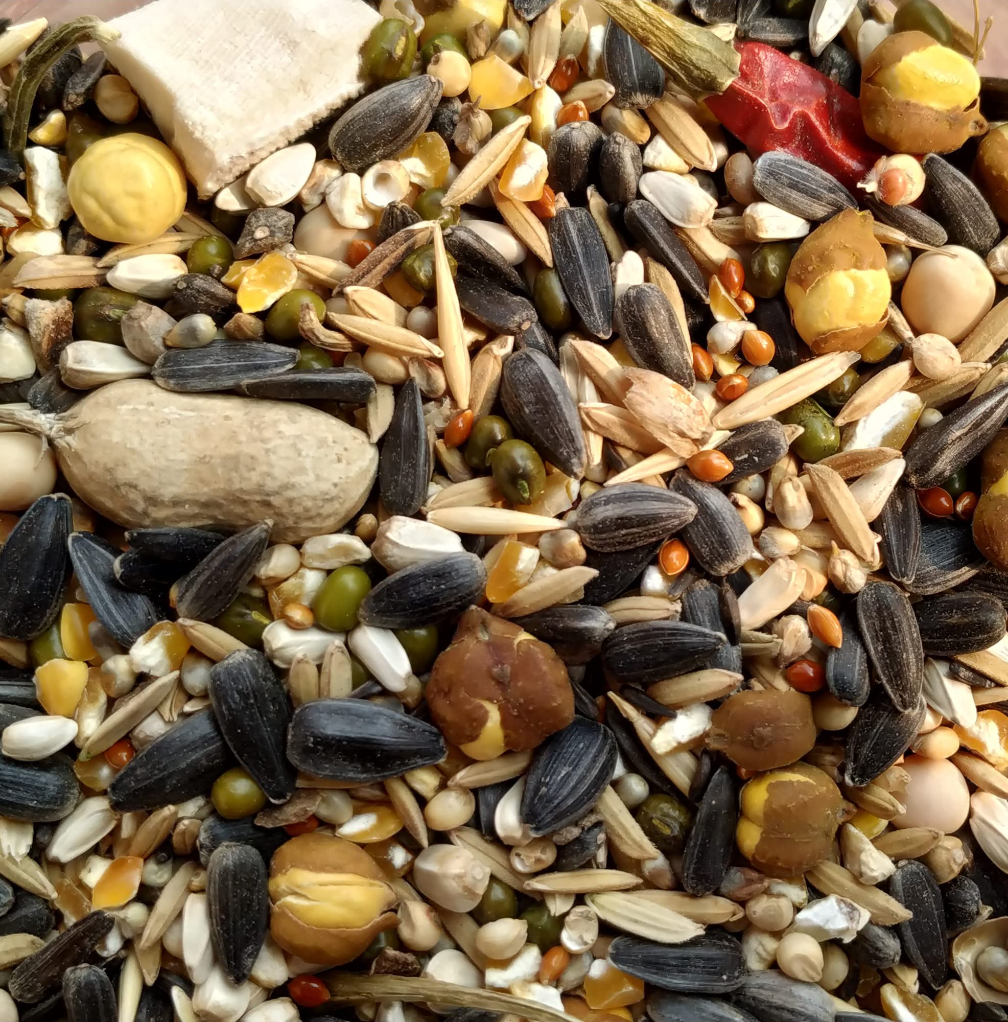 See full amazon price history chart for GLOBAL GREEN - 15 Type of Bird Seeds Special Mixed (5+5 KG Pack) use for Cockatoo, Albino, Macaw, African Grey Parrot, Sun Conure, Jandaya Parakeet, 100% Organic GLOBAL GREEN - 15 Type of Bird Seeds Special Mixed (5+5 KG Pack) use for Cockatoo, Albino, Macaw, African Grey Parrot, Sun Conure, Jandaya Parakeet, 100% Organic (B0C1P8YZHV) Amazon Price History, Amazon Price Tracker