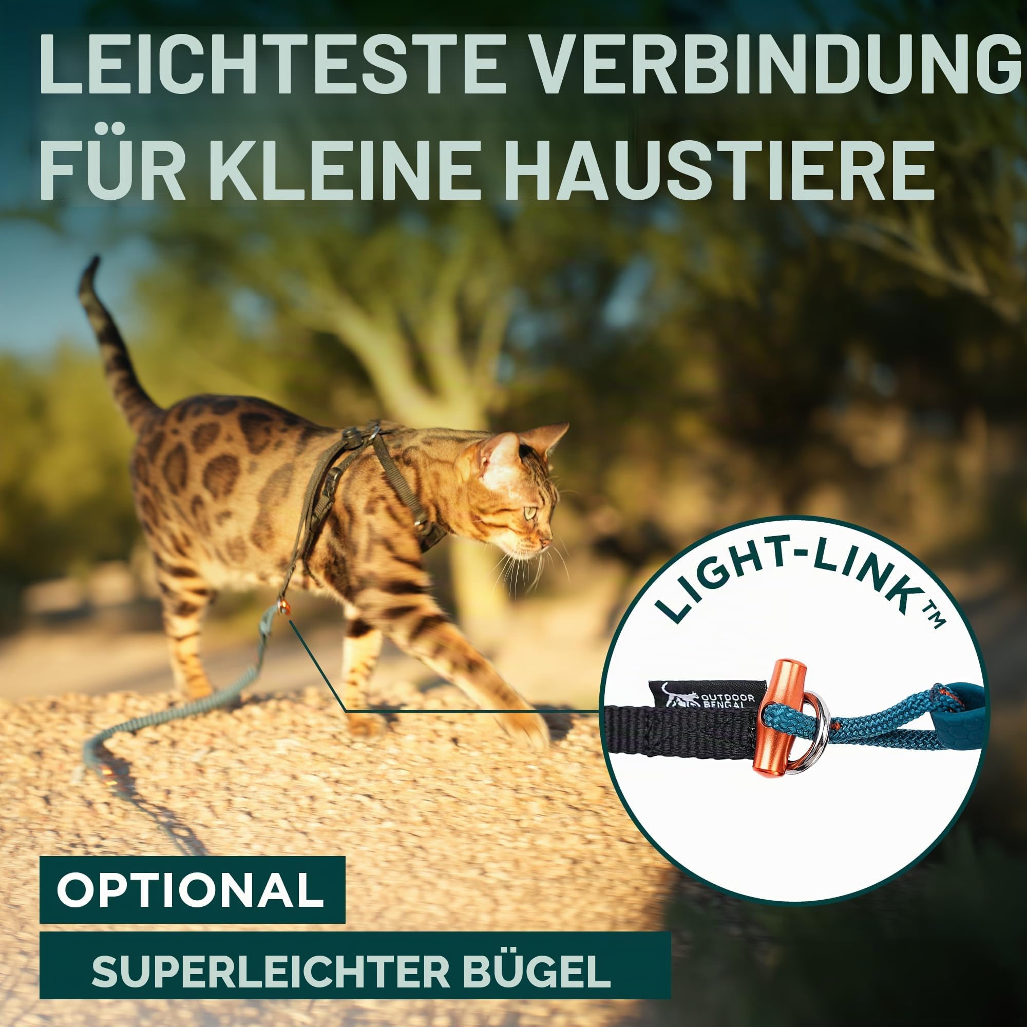 OutdoorBengal Kushma - Lange Leine für Katzen und kleine Hunde mit Bungee - Silikon + Nylon - kein Verheddern, freihändig für Taille und Körper, leicht - Extra Lange Katzenleine für kleine Hunde