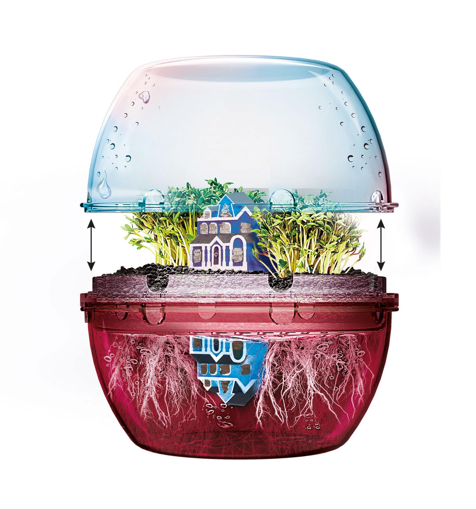 Clementoni Scienza - Terrarium Stranger Things, dalla Serie Netflix, Gioco Scientifico per Bambini 7+ Anni e Adulti, Kit Piante da Coltivare, Made in Italy, Lingua Italiana, 18864