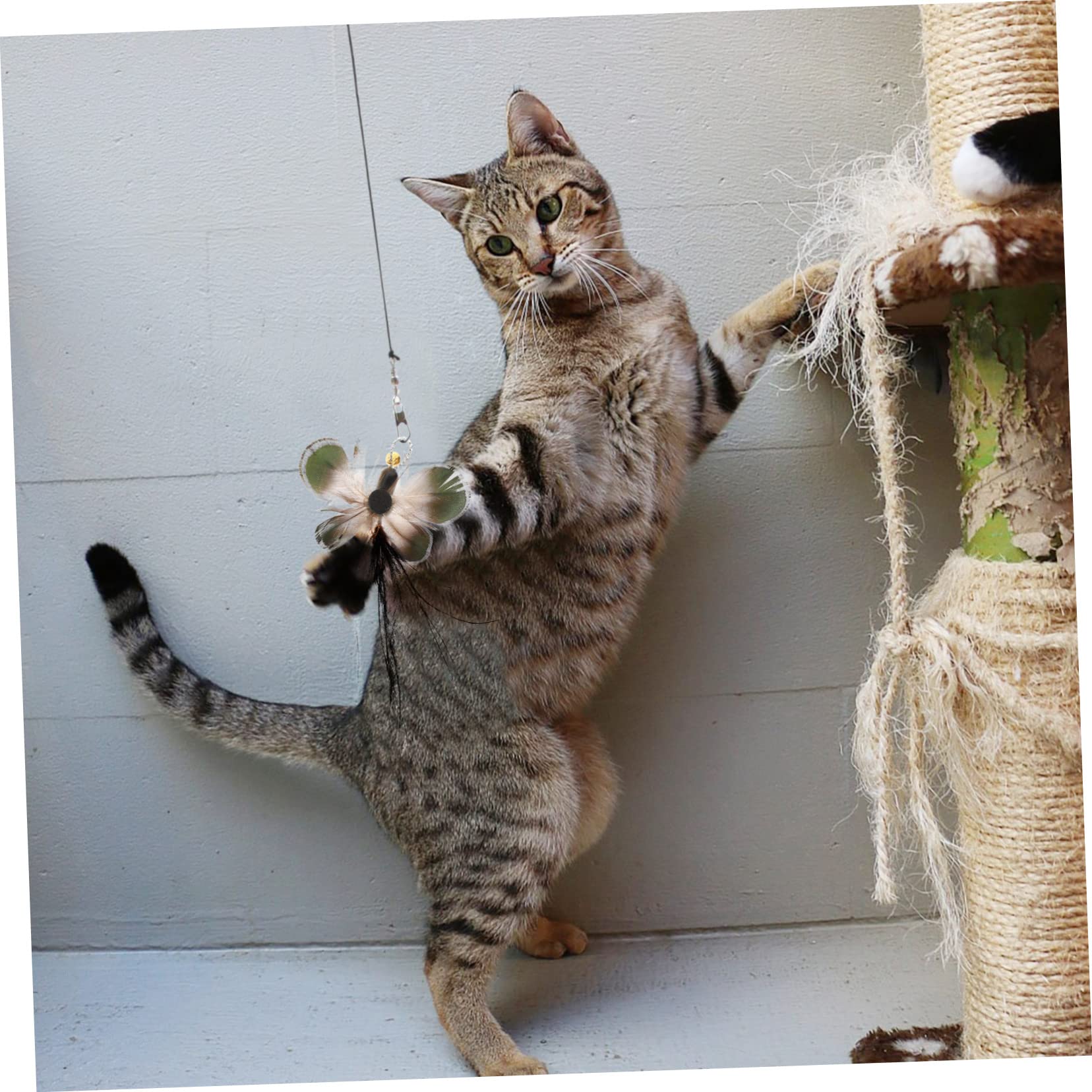 Toddmomy 24pièces Têtes De Remplacement pour Canne à Chat avec Jouets Insectes Et Plumes Accessoires Interactifs pour Chats Amusants Et Stimulants