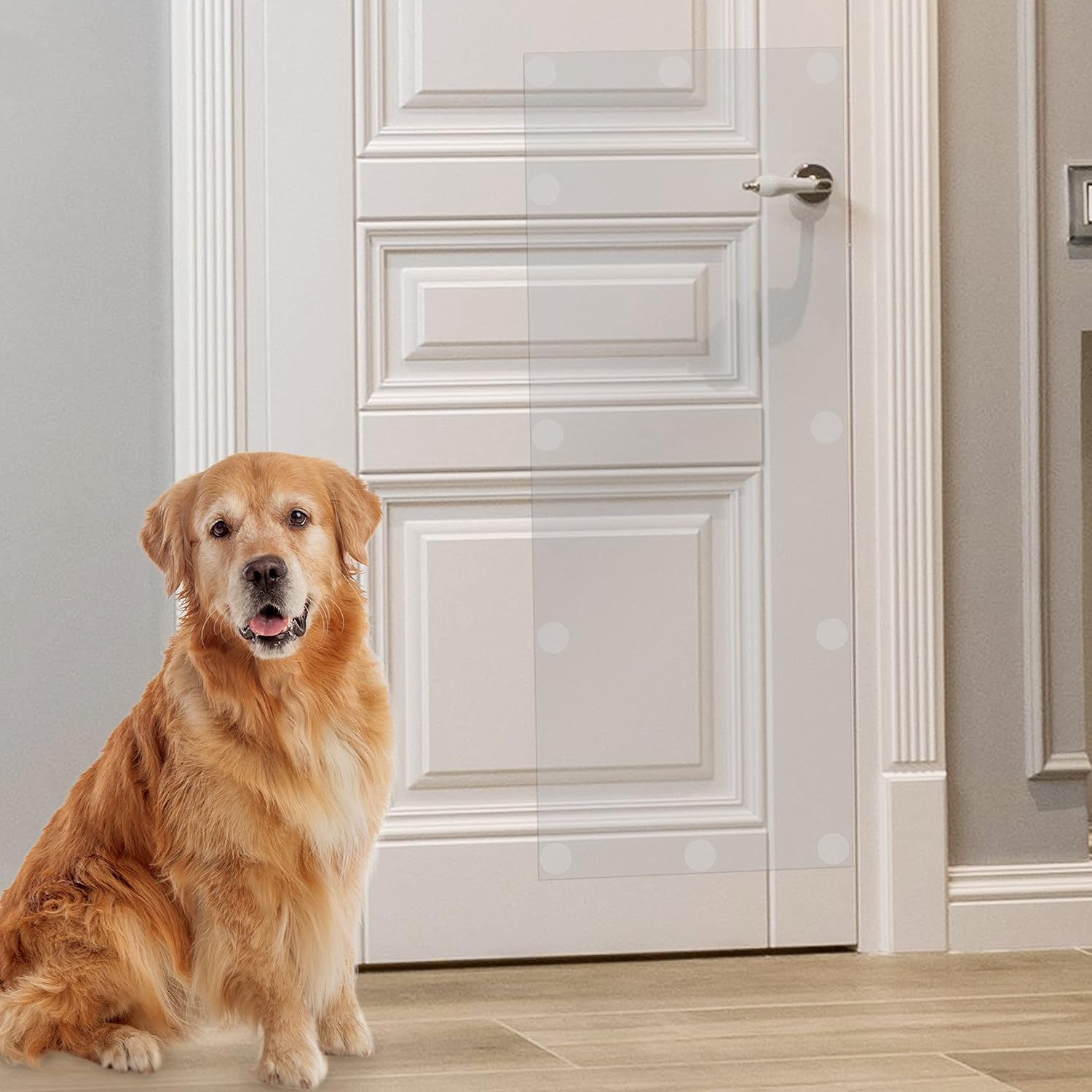 TiereCare Door Protector from Dog Scratching Detachable Hook & Loop Pet