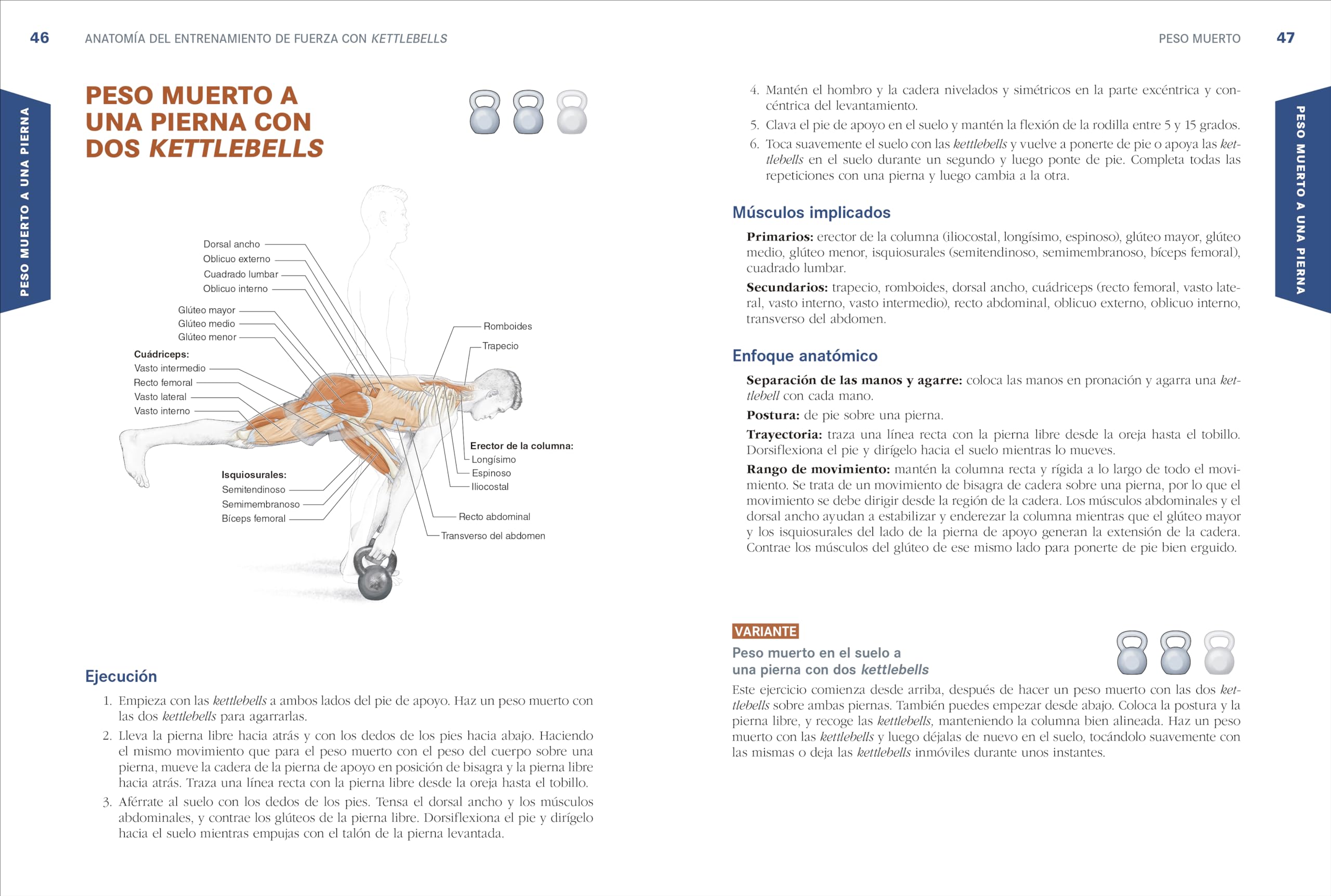 Anatomía del entrenamiento de fuerza con kettlebells