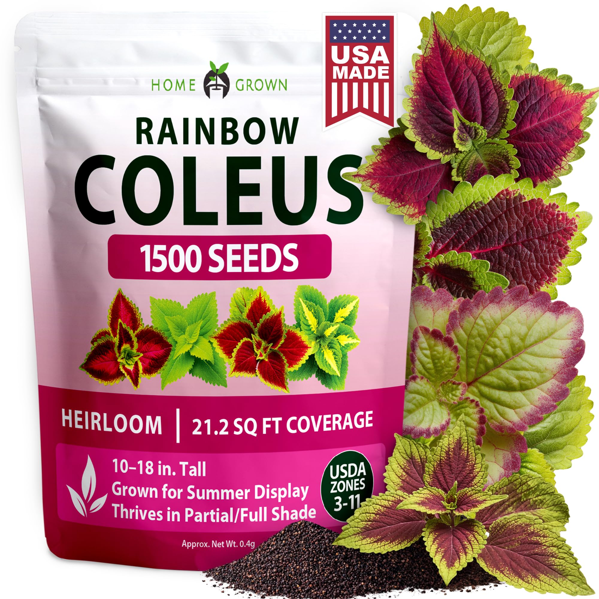HOME GROWN Coleus Rainbow Seeds