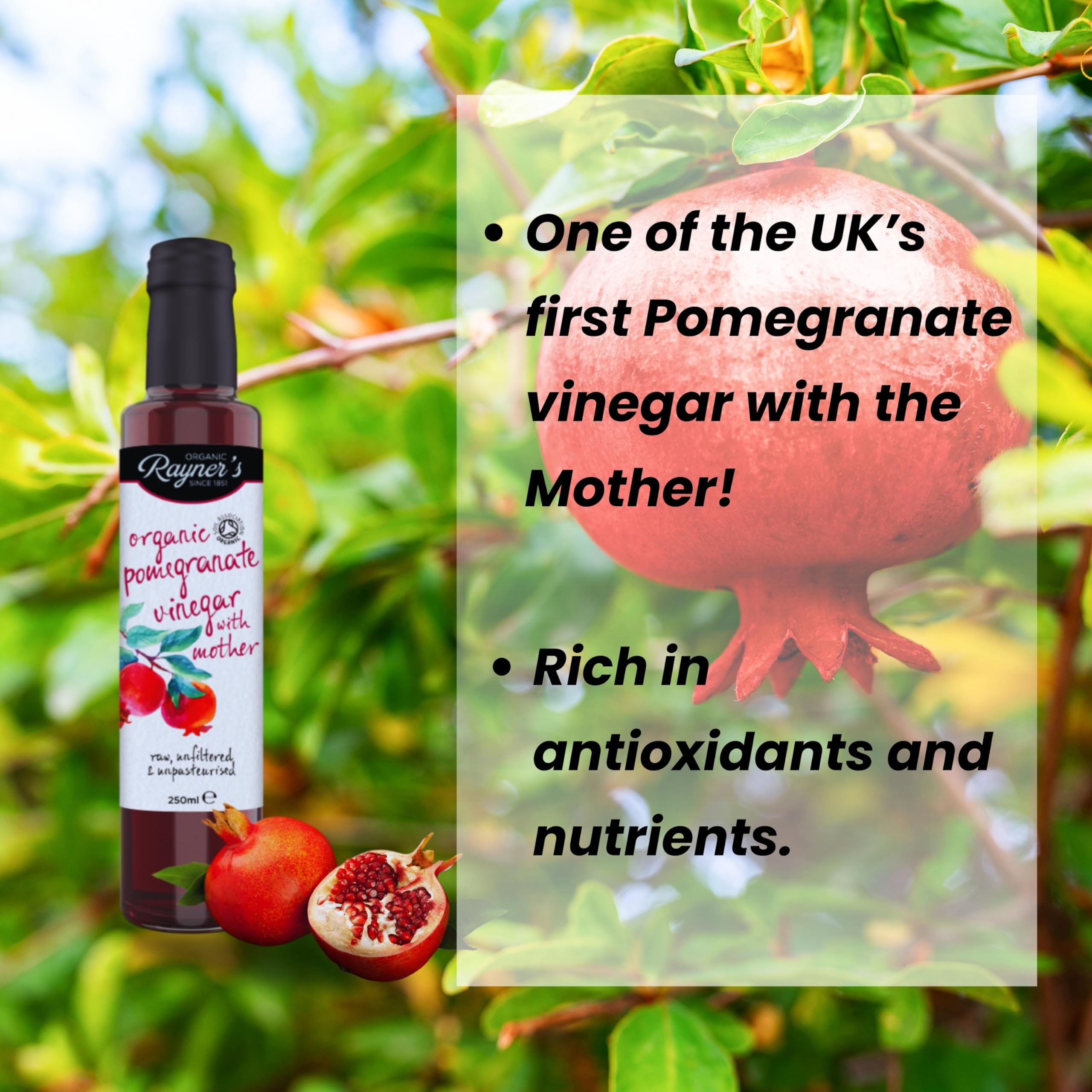 Rayners Essentials Organic Pomegranate Vinegar Mother 250ml (Case of 6)