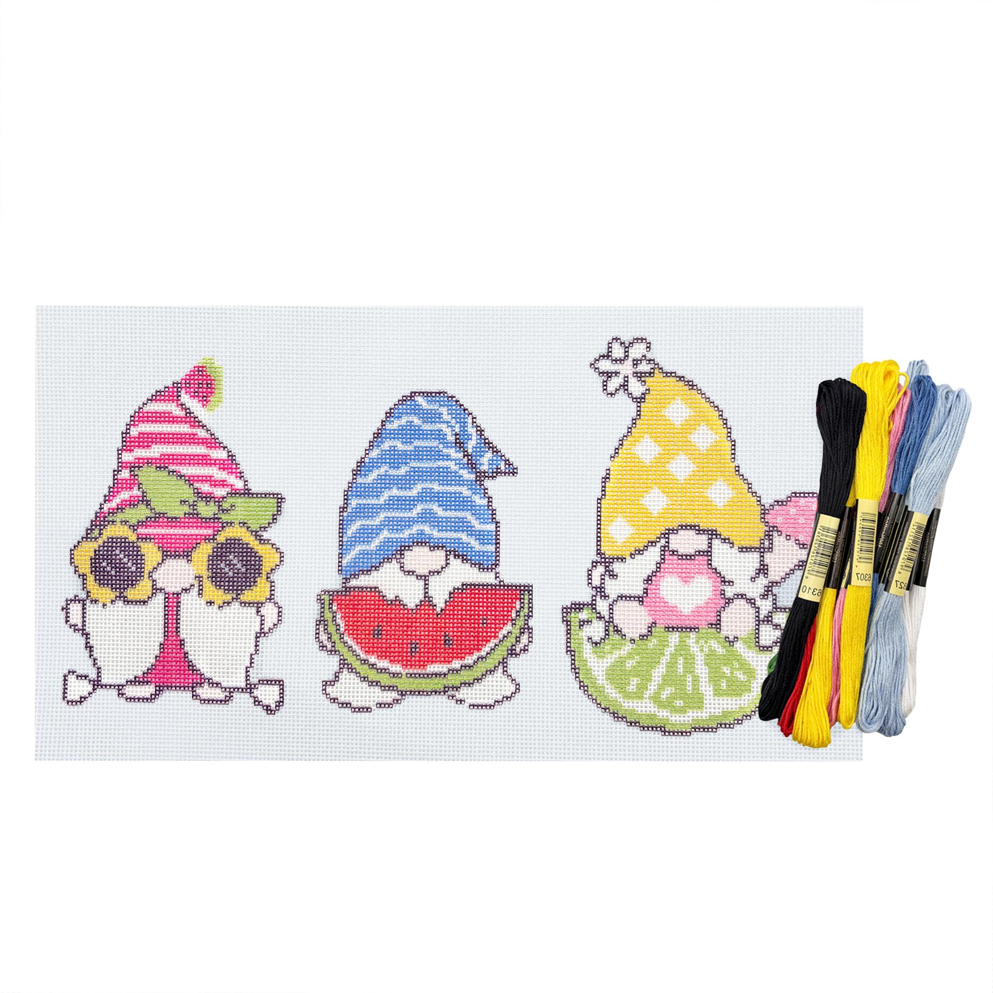 Howie's Needlepoint Needlepoint Kits, 18CT Printed Embroidery Pattern Starter Kits, Stamped Patterns Canvas Kits(Summer of Joy,4.5x6.5inch)