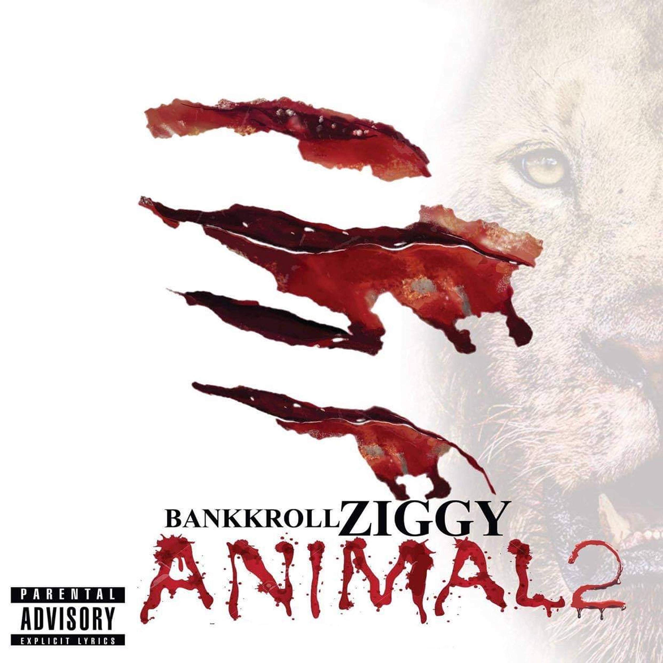 BANKKROLL ZIGGY