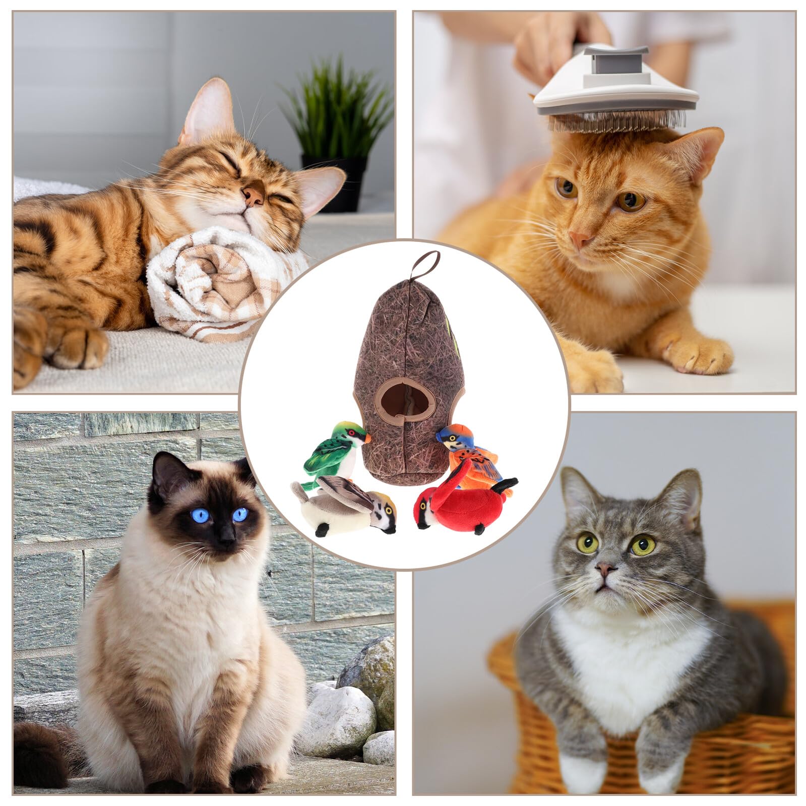 TOYANDONA Realistisches Katzenspielzeug Vogelkäfig Satz Interaktives Quietschvogel Kauspielzeug aus Plüsch für Kätzchen und Katzen Mehrfachspielspaß für Wohnungskatzen Leicht und Tragbar