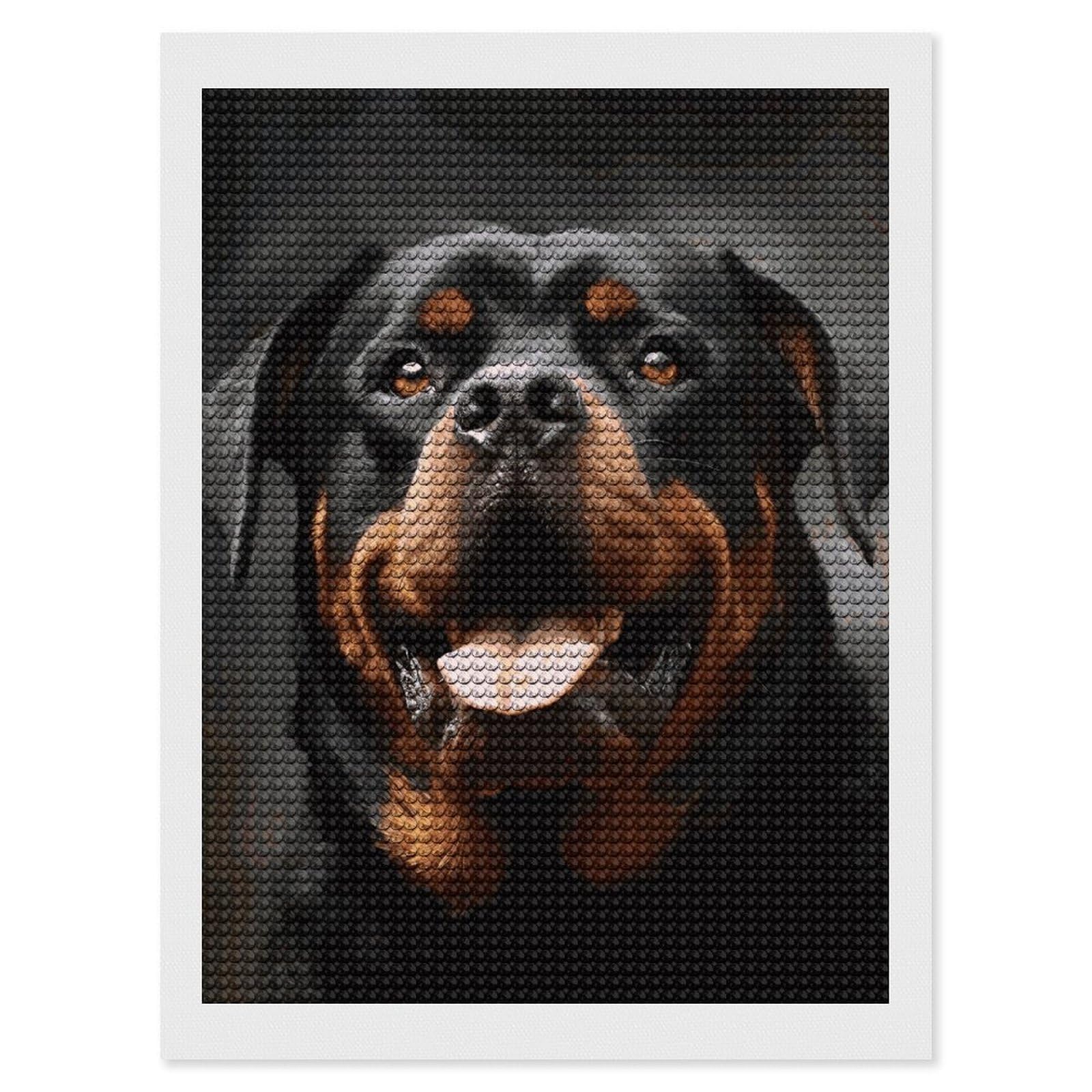 DWVTSLH Cool Rottweiler Dog Art Diamond Painting Kits for Adults, Personalized Diamond Photo Art Full Drill, DIY 5D Diamond Art Painting Kits for Beginners, Home Wall Decor 12"x16"