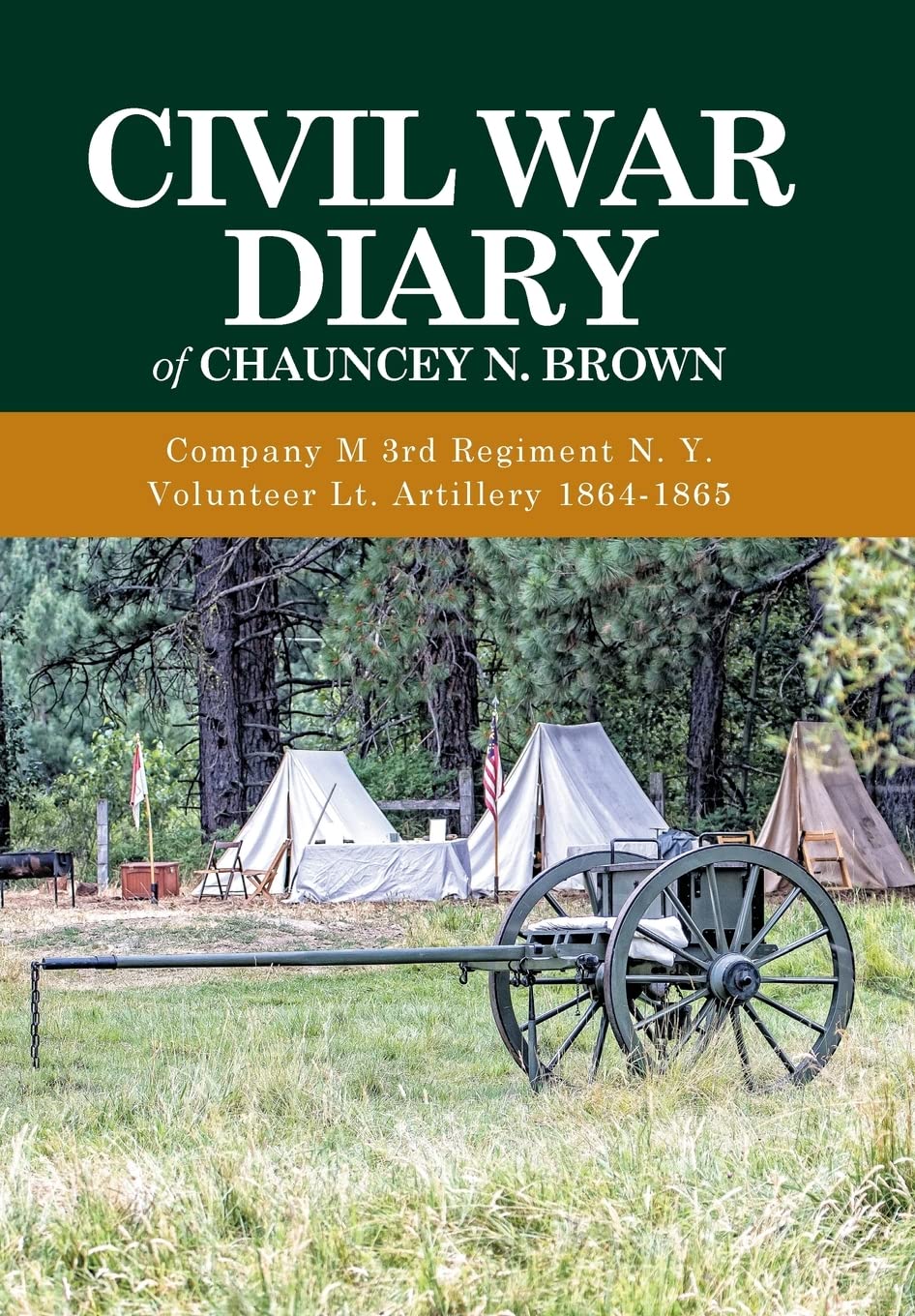 Civil War Diary of Chauncey N. Brown: Company M 3rd Regiment N. Y. Volunteer Lt. Artillery 1864-1865