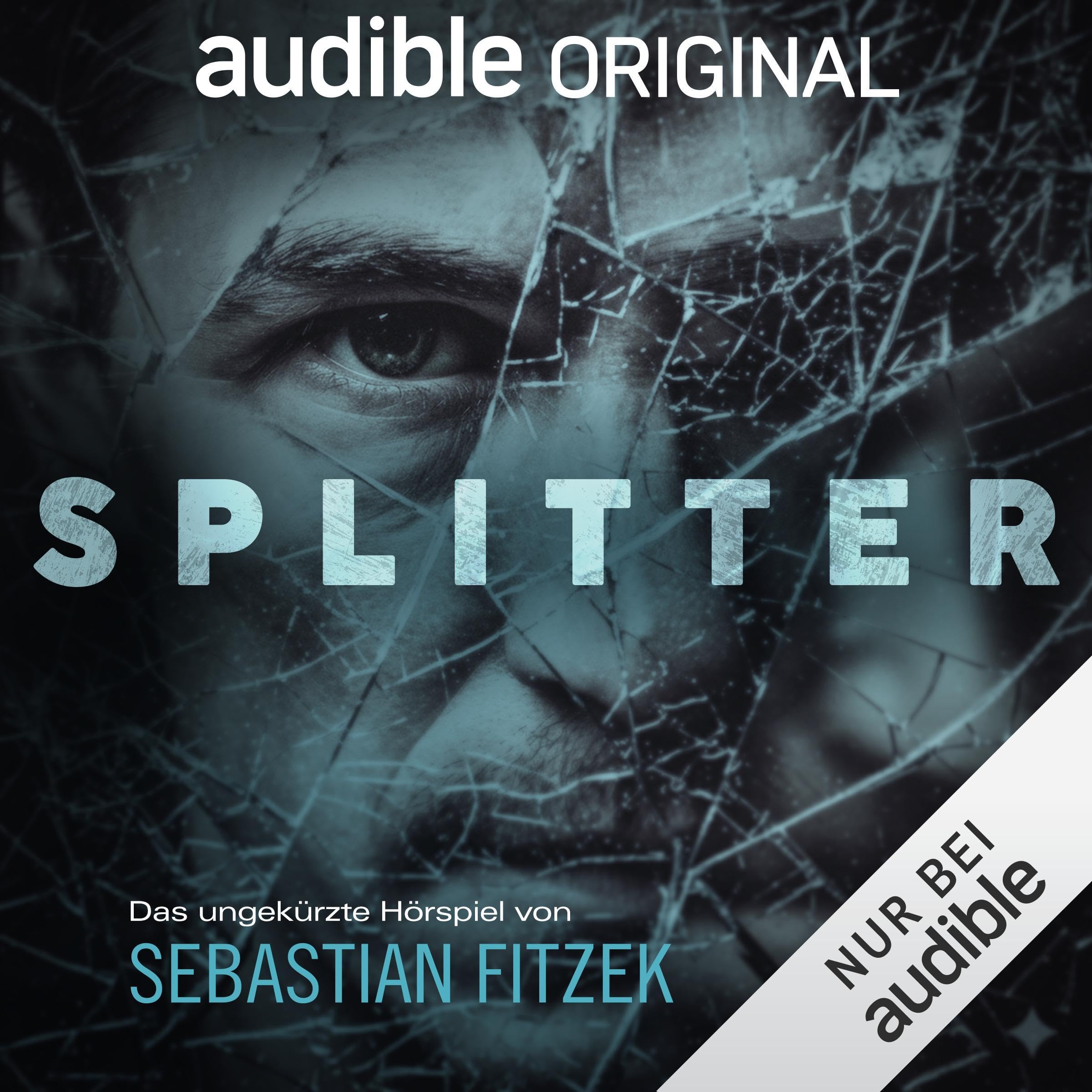 Cover art for Splitter