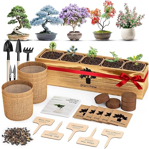 Bonsai Tree Kit - Christmas Gifts, Christmas Gifts for Women & Men, Christmas Gifts for Mom - Complete Beginner Bonsai Starter Kit with Tools & Seeds | Unique DIY Gardening Gift Set for Plant Lovers