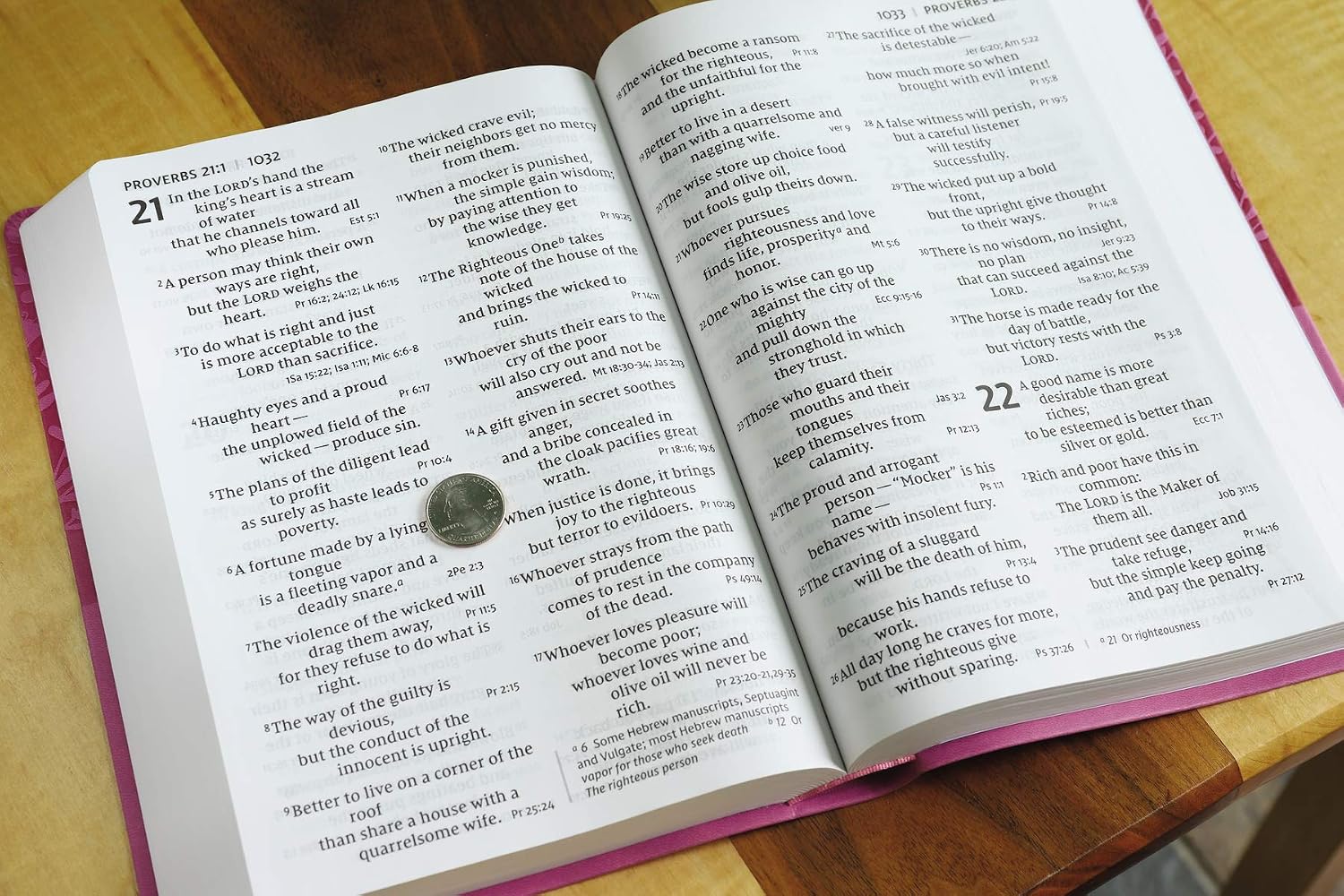 NIV, Super Giant Print Reference Bible (Font Size: 16.5-point), Leathersoft, Pink, Red Letter, Comfort Print
