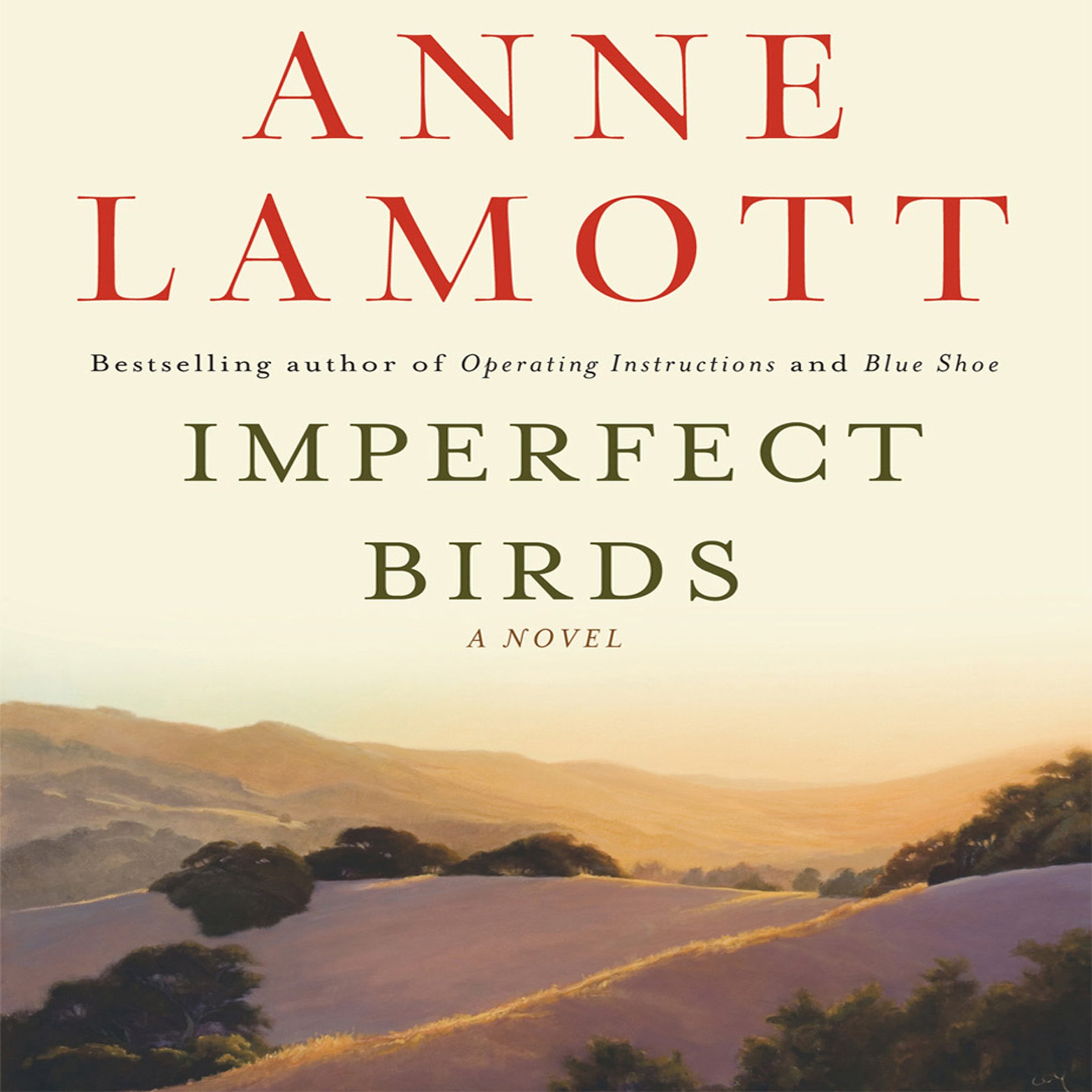Cover art for Imperfect Birds