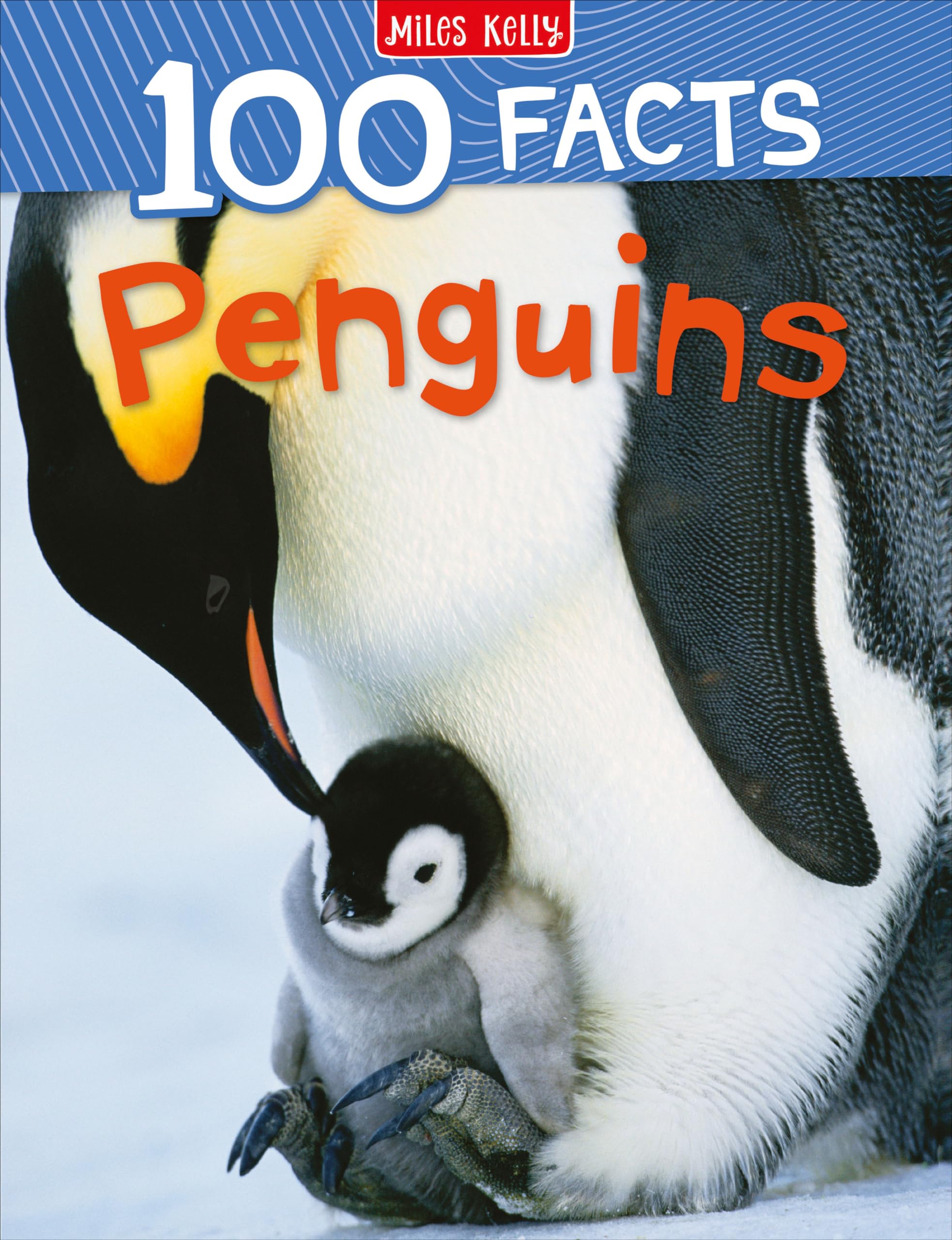 Penguins: An amazing fact book for children ages 7+ designed for curious readers (100 Facts)