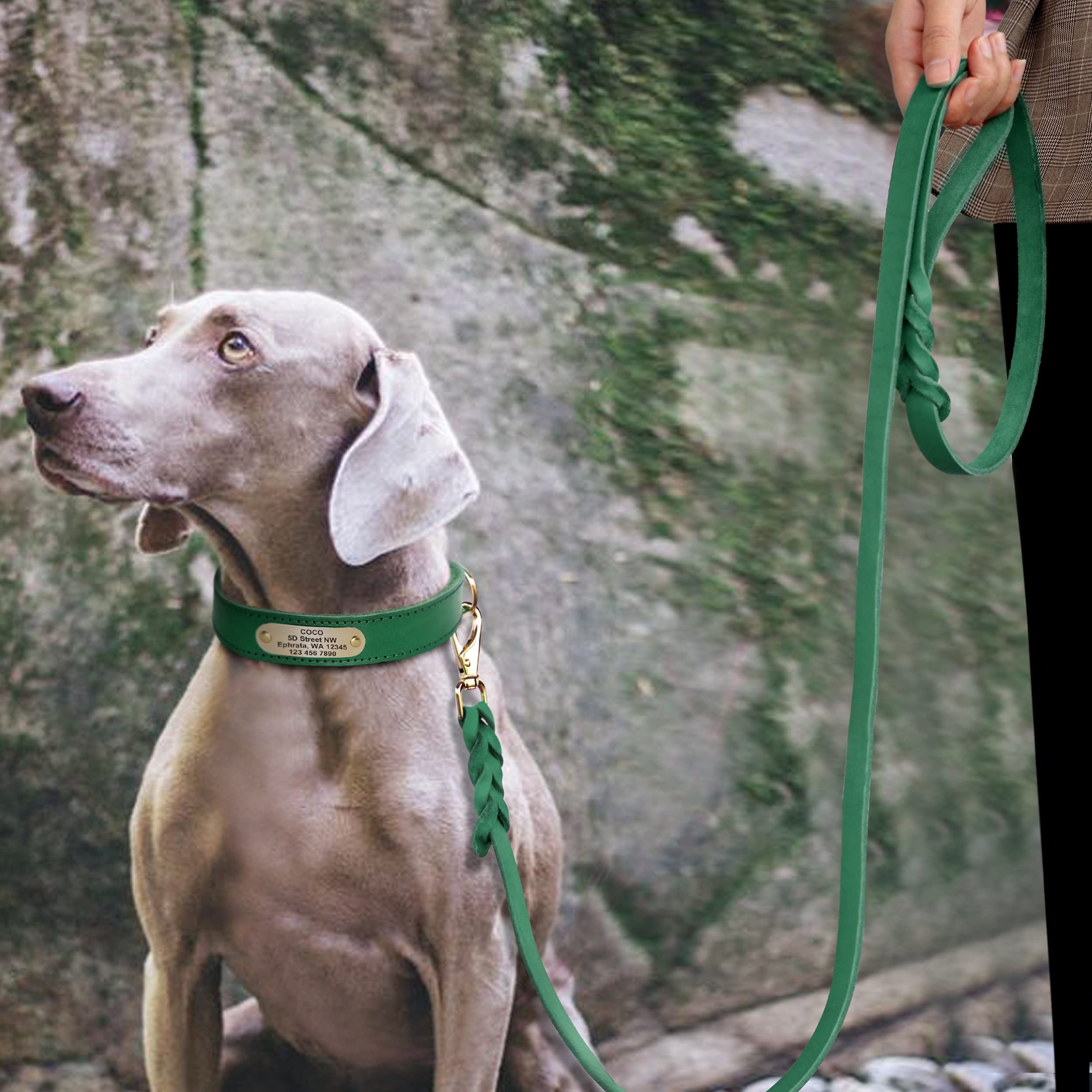 Beirui Hundehalsband Aus Echtem Leder – Personalisierbar Mit Gravur, Weich Gepolstert, Für Kleine Bis Große Hunde