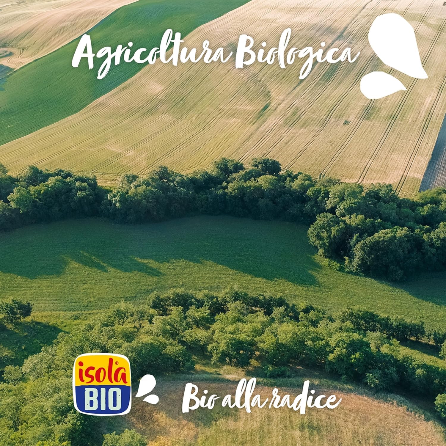ISOLA BIO Riso Nocciola Mini, Bevanda Biologica a Base di Riso e Nocciole, 100% Ingredienti Naturali, Senza Glutine, a Basso Contenuto di Grassi, per Vegetariani e Vegani, 24 Confezioni da 250 ml