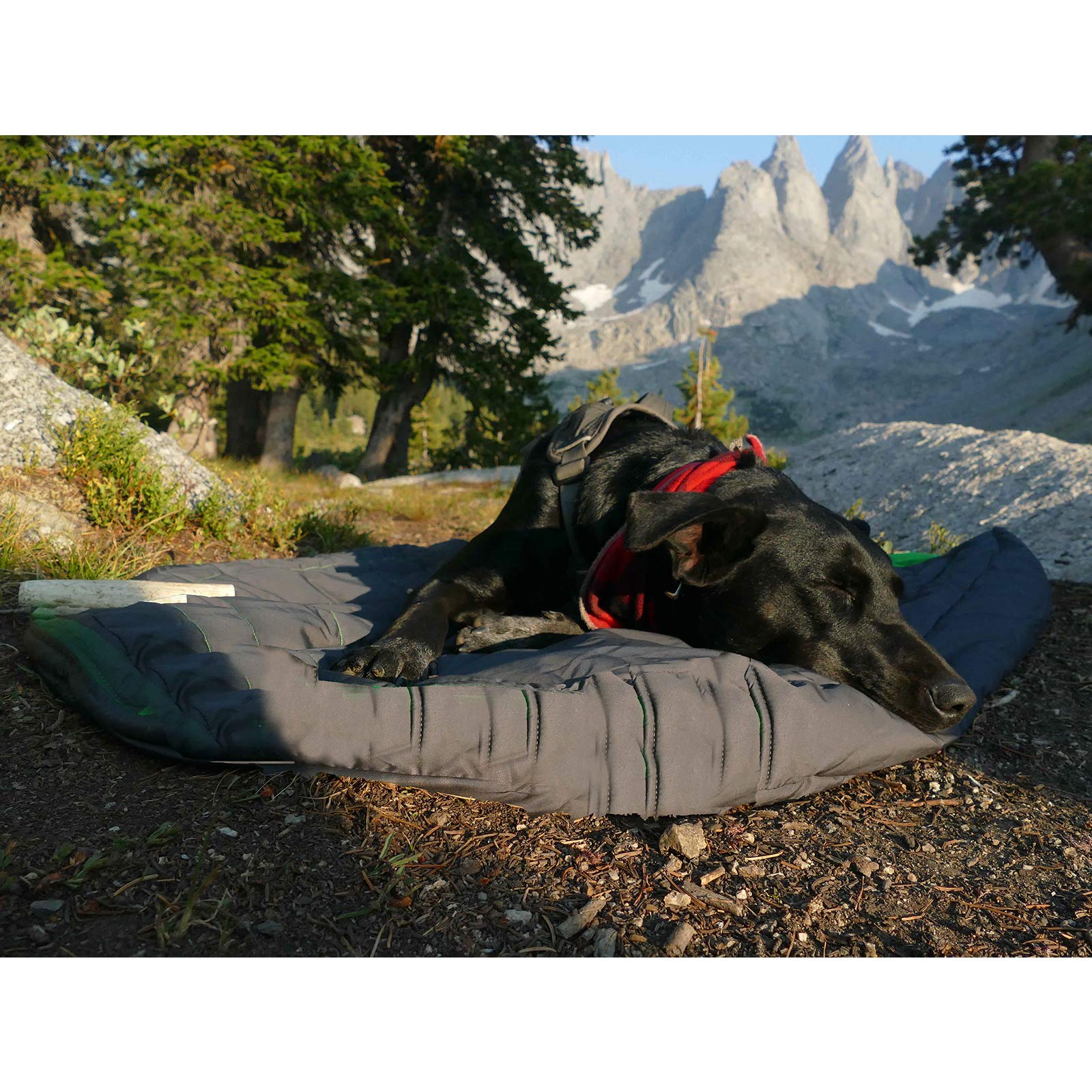 Comforter - Manta de calefacción para perros con batería pequeña para exteriores, sin cable