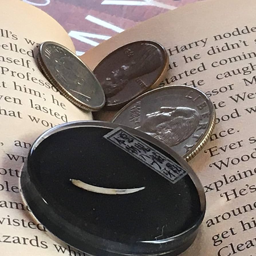 魔除け Amazon.co.jp: ［Barzaz(バルザス)］ 梟 根付け 縁起物 京都土産