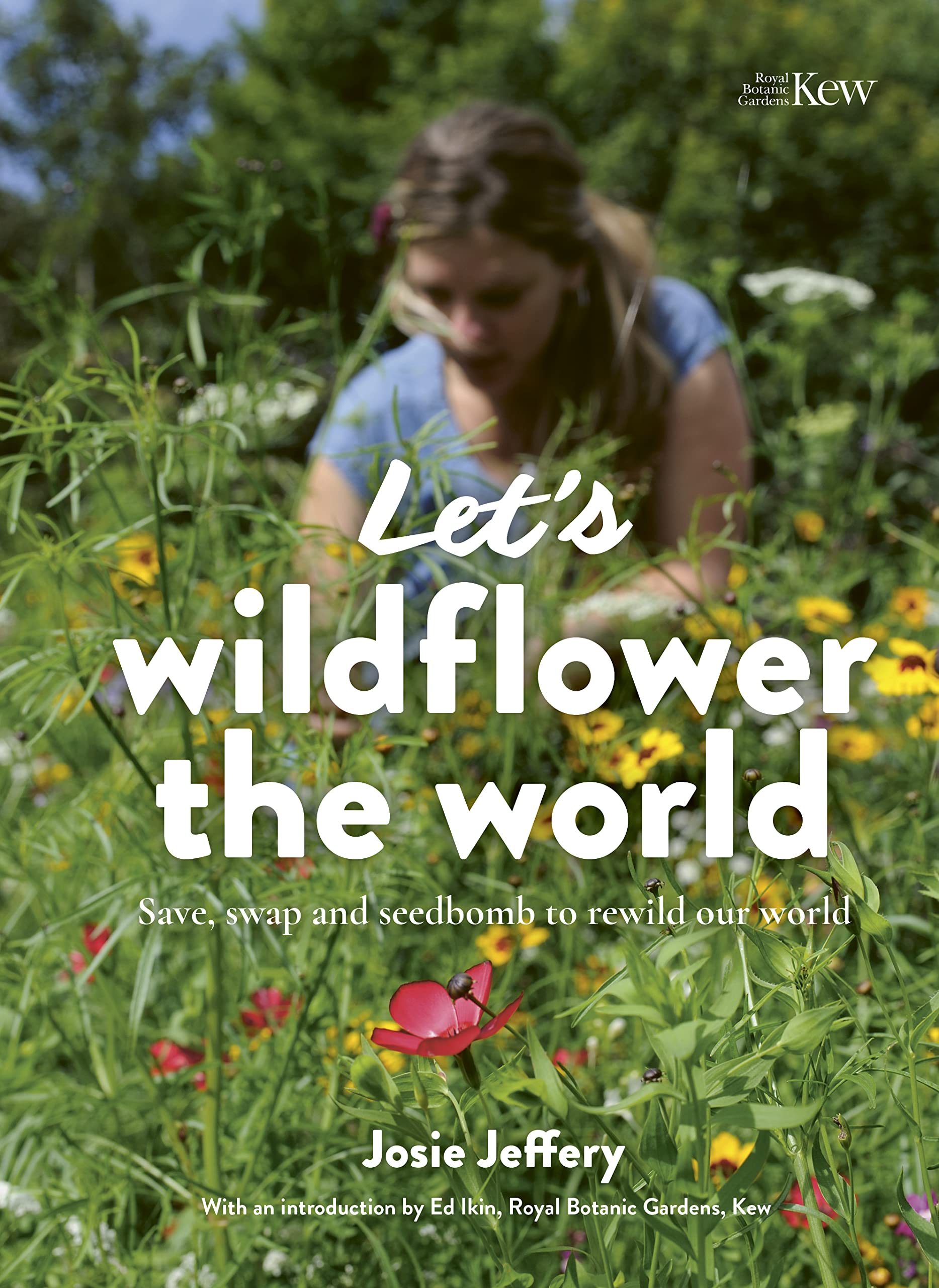 Lets Wildflower the World by Josie Jeffery PAPERBACK 9780711275393