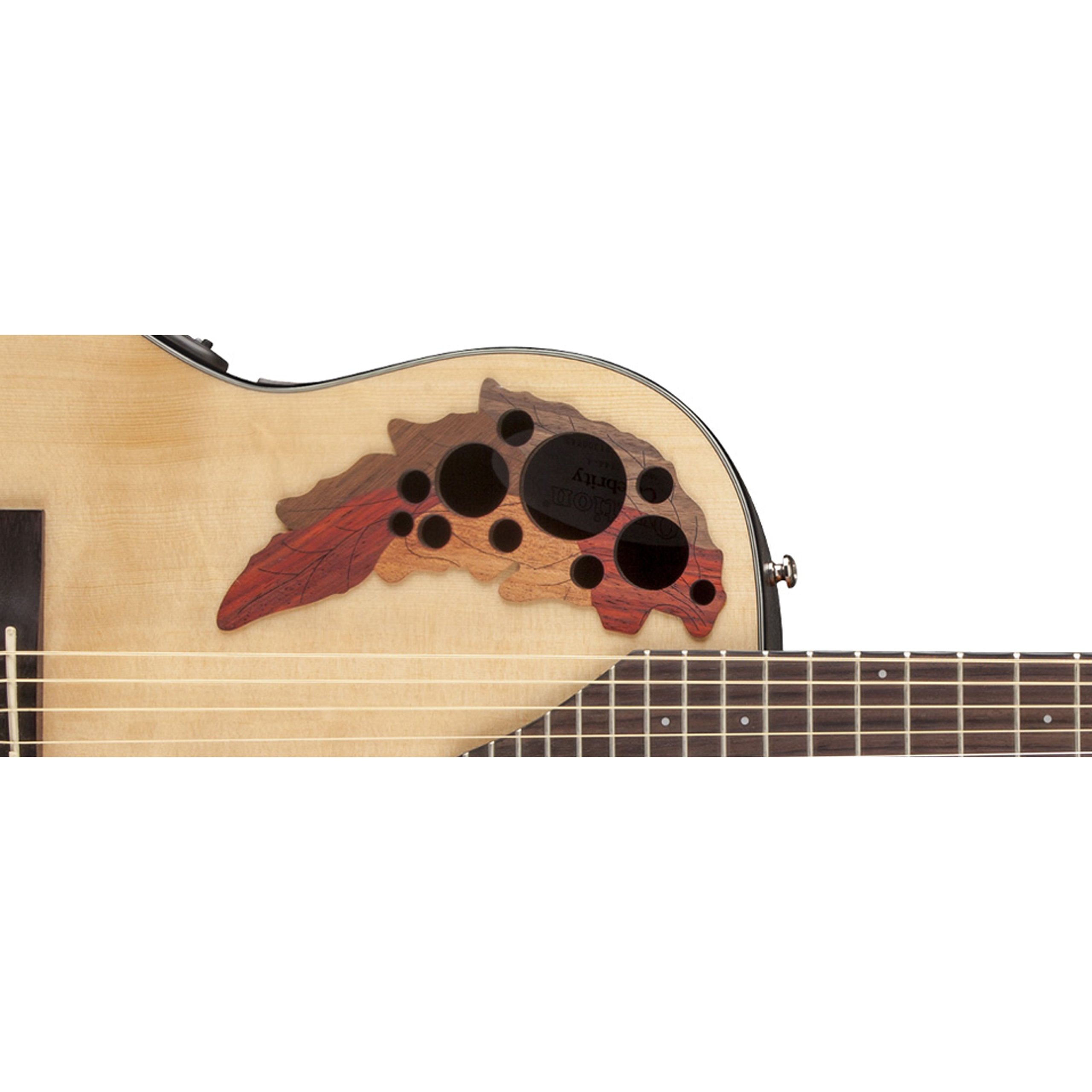Amazon | OVATION CE44-4-G NAT Celebrity Elite CE44-4 Natural