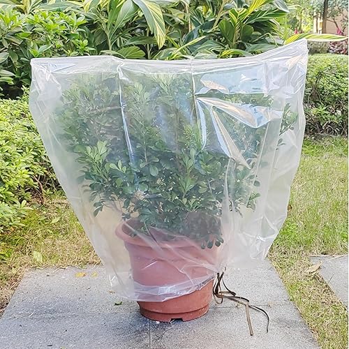LHongL Cubiertas para plantas con protección contra congelación, plástico transparente de 6 mil con cordón de invernadero, bolsas de cubierta de