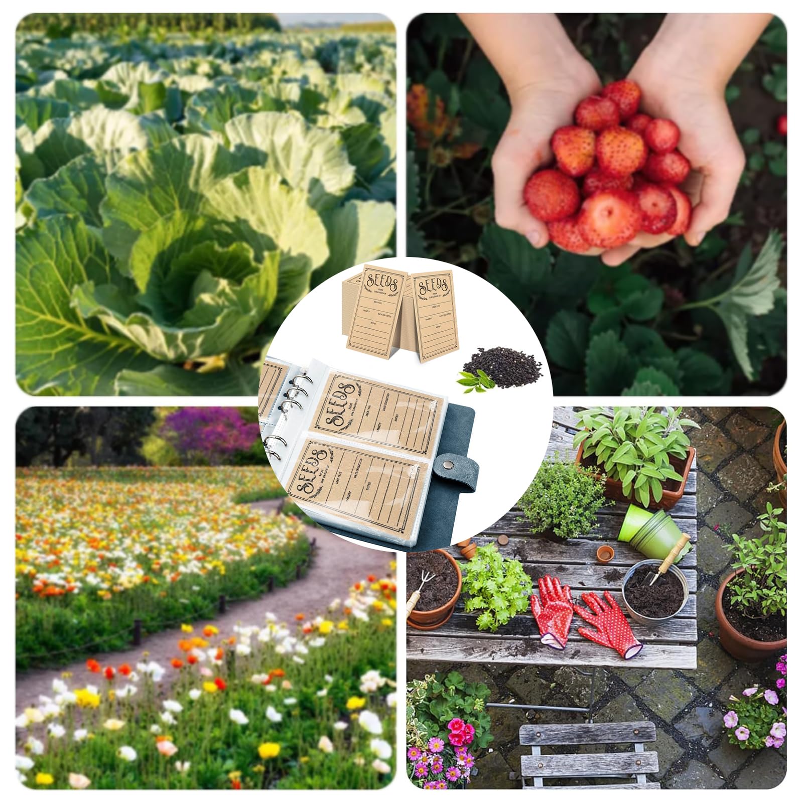 Lot de 100 enveloppes de semences - Organisateurs de rangement auto-étanches pour le jardin, idéales pour tout jardinier (bleu)