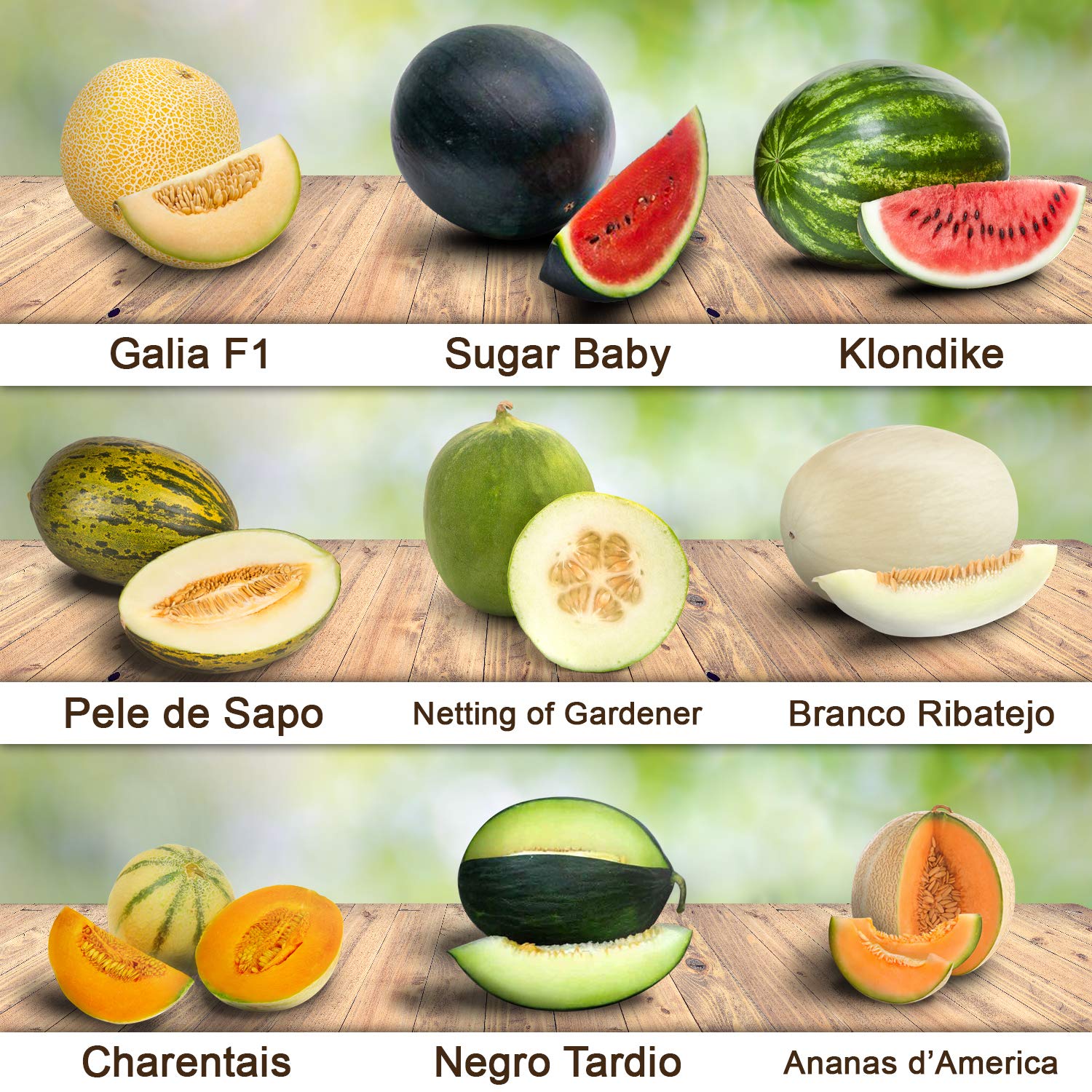 Prademir Melonensamen Set aus 9 seltenen & leckeren Sorten
