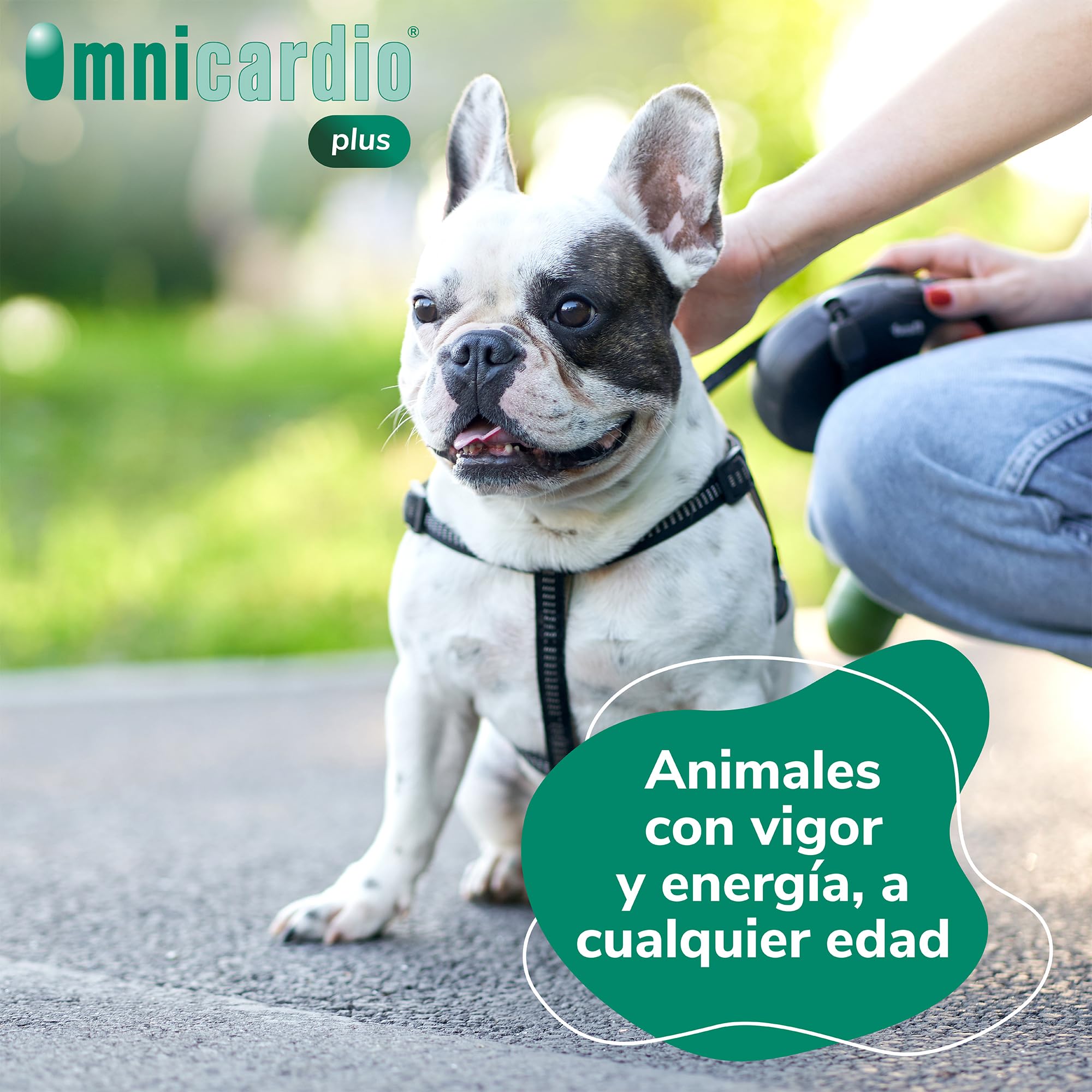 Omnicardio Plus Hifarmax - Suplemento Cardíaco para Perros y Gatos | Apoyo al Corazón con Taurina y L-Carnitina | Suplemento Corazón Perros | 60 Comprimidos