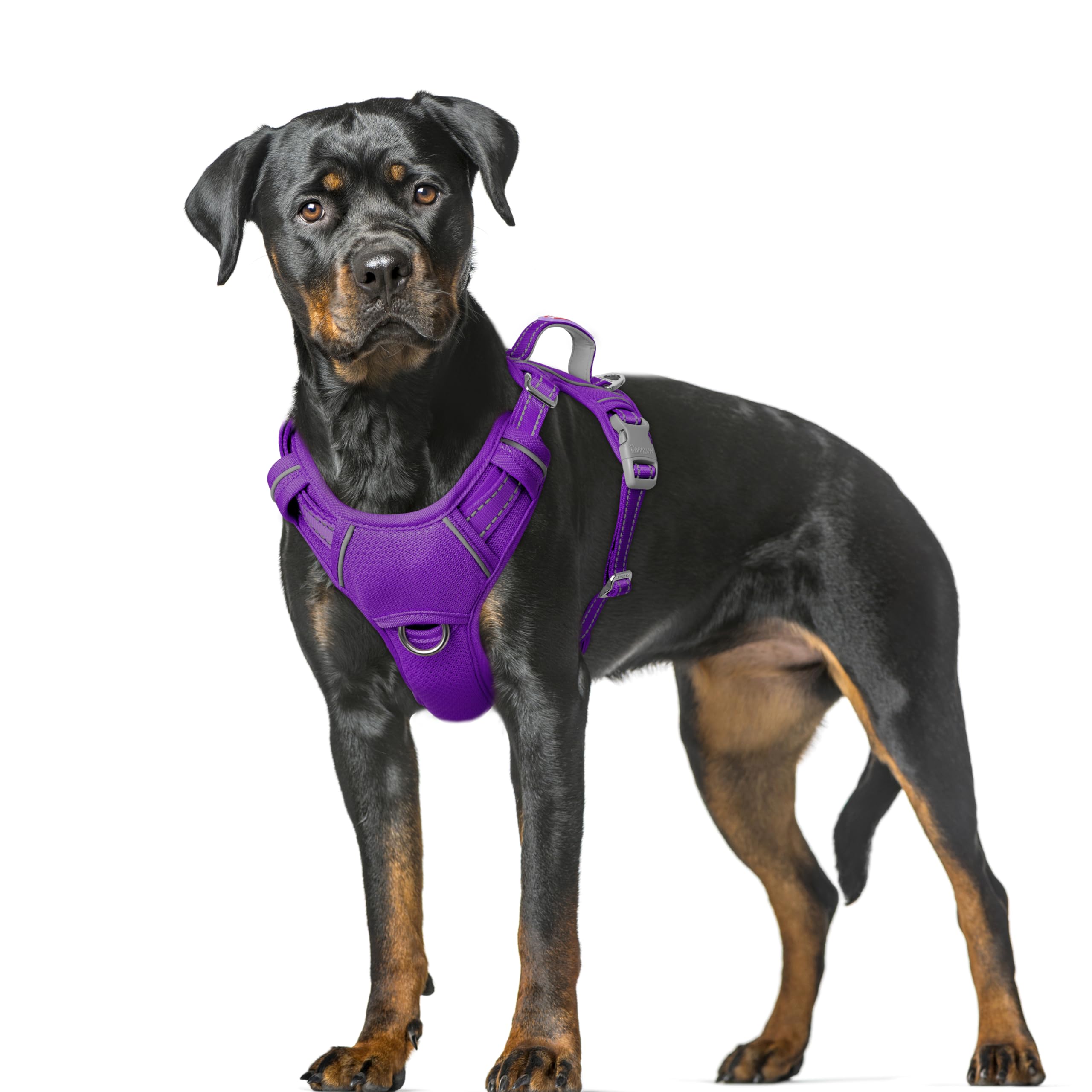 BARKBAY No Pull Dog Harness Large Reflective Dog Harness with Front Clip and Easy Control Handle for Walking Training Running with ID tag Pocket(Purple,XL)