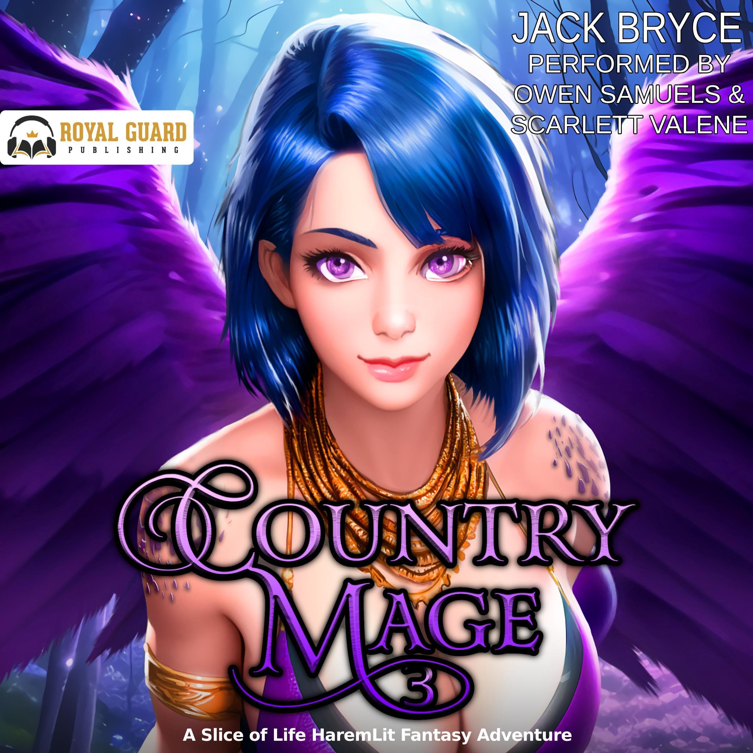 Cover art for Country Mage 3